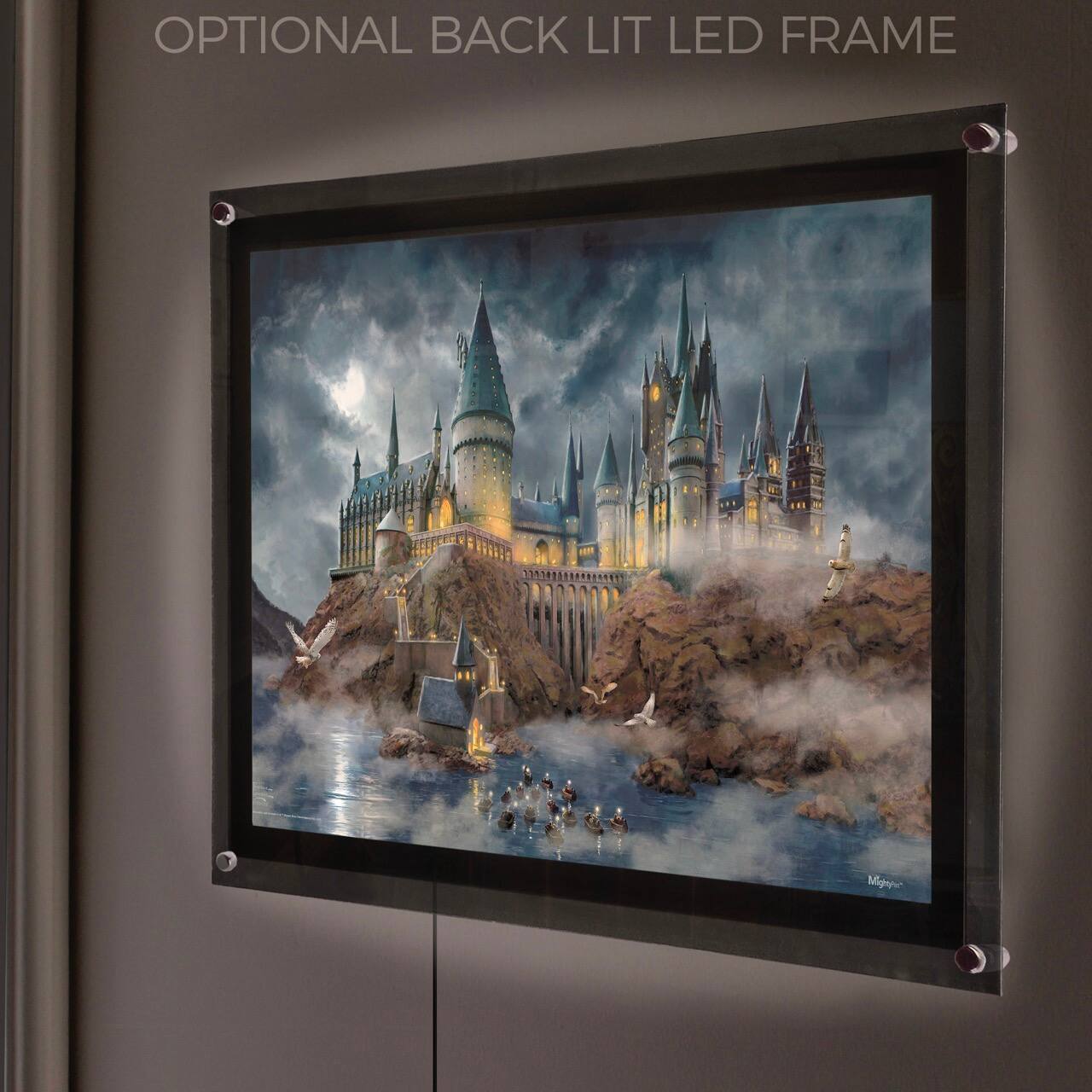 OPTIONAL BACK LIT LED FRAME