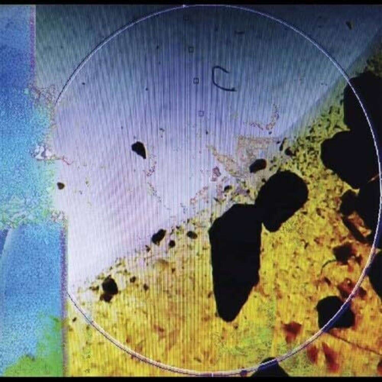 Front. Dreamtx - Living in Memory of Something Sweet   - VINYL LP.