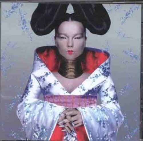Front. Bjork - Homogenic   - VINYL LP.