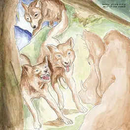 Bonnie Prince Billy - Wolf Of The Cosmos - VINYL LP