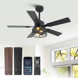 Vaczon - 42" Industrial Metal Caged Ceiling Fan with Light and Remote & App Control - Black