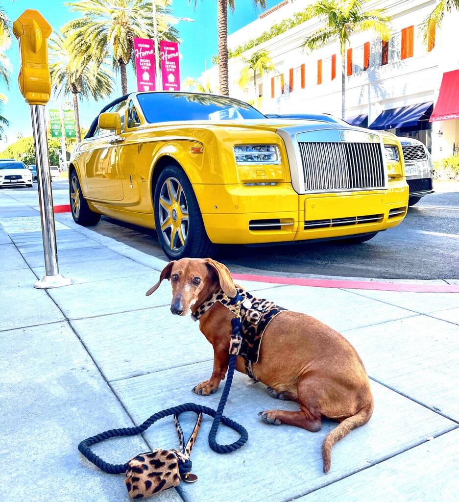 The text on the image is "Home SaTe Aome NARs SEARS 1FOS LPE TIE LTES - LANCE 7079 LAar".