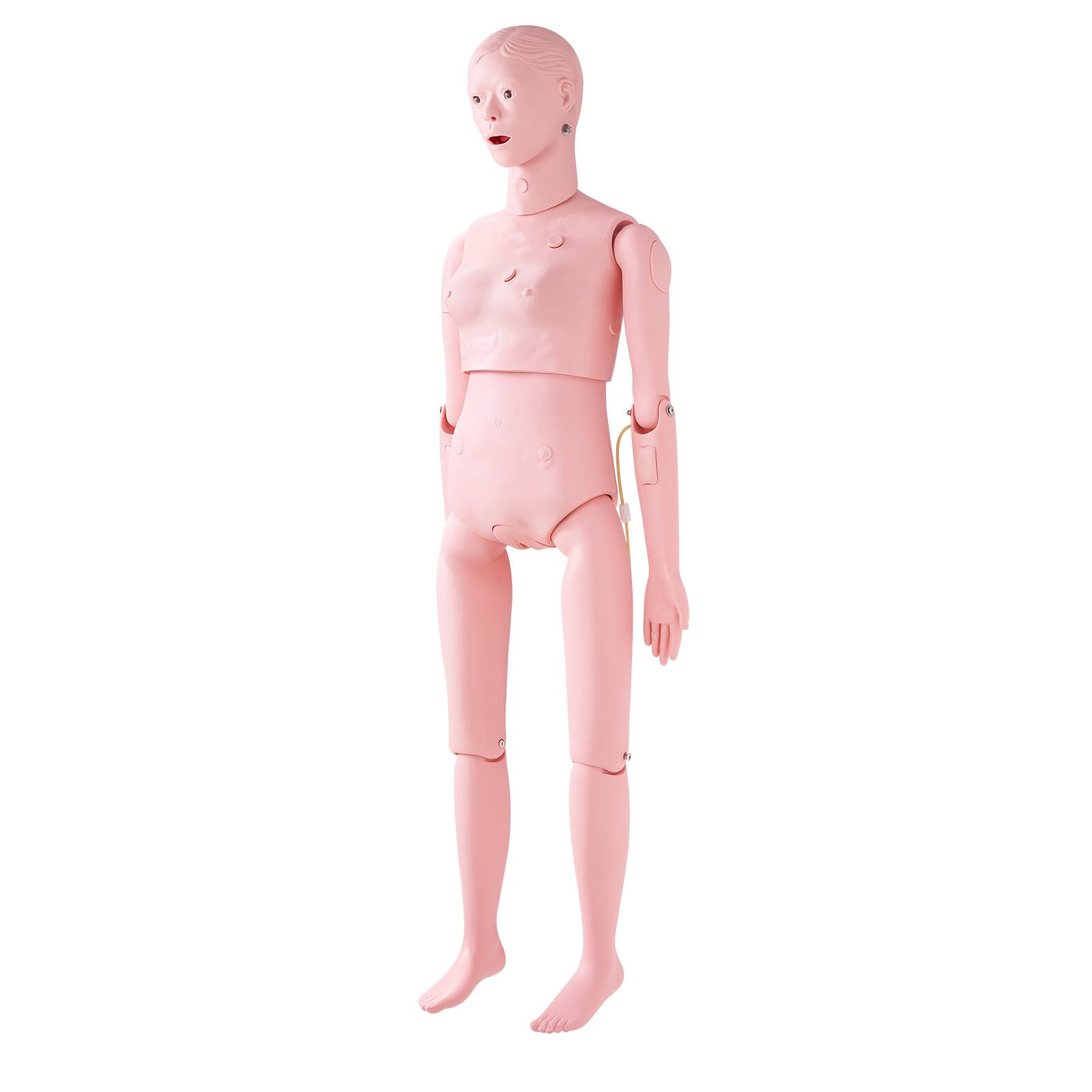 Alt View 5. VEVOR - Nursing Training Manikin, Female Life Size Demonstration Human Manikin for Nursing Training, Multifunctional Education - Multicolor.