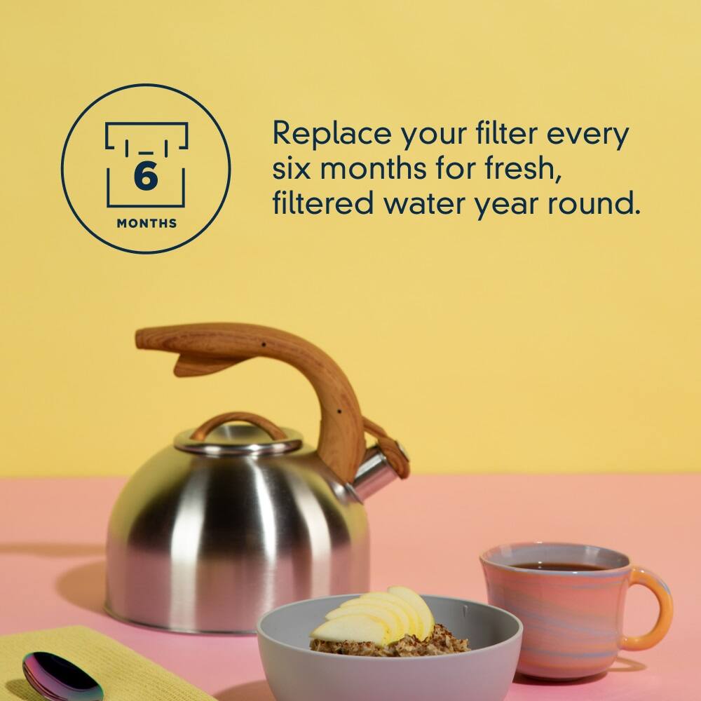 Replace your filter every six months for fresh, filtered water year round.