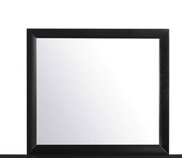 Global Furniture USA - Transitional Linda Mirror - Black