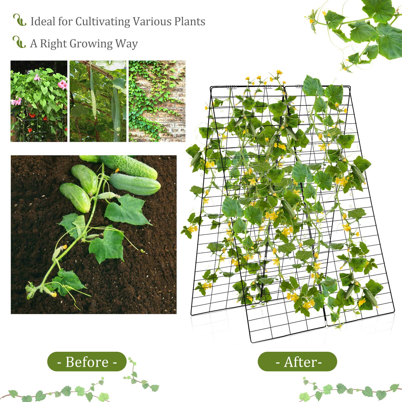 Ideal for Cultivating Various Plants  
A Right Growing Way  

- Before -  
- After -