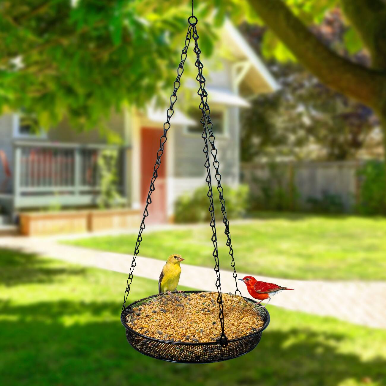 Left. Sorbus - Sorbus Bird Feeder Hanging Tray, Seed Tray for Bird Feeders, Great for Attracting Birds Outdoors, Backyard, Garden - Black.