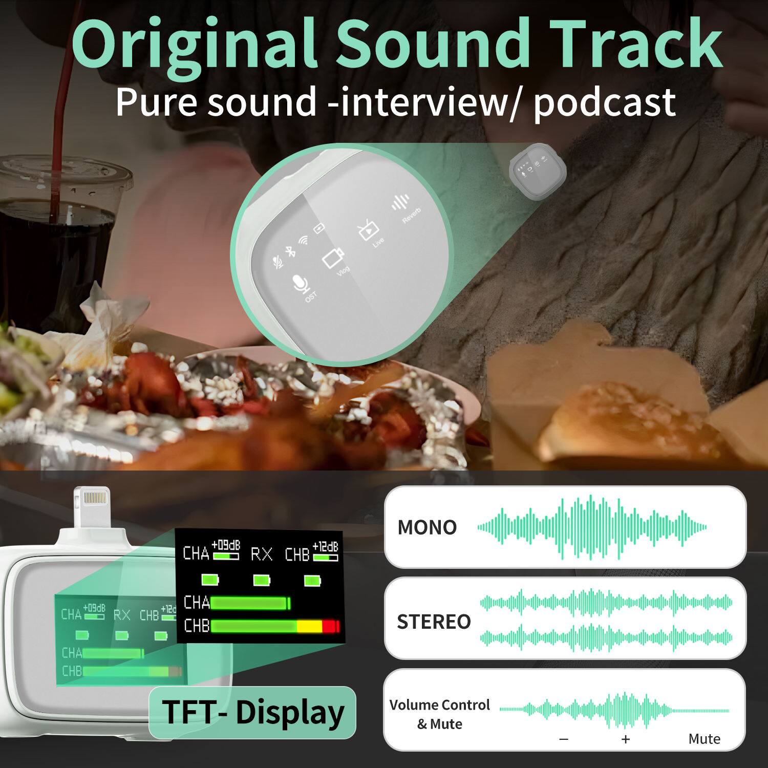 Original Sound Track  
Pure sound - interview/ podcast  

Live Meverb OST  
+09dB +12dB  
CHA RX CHB  
MONO +09dB  
CHA +12dB  
CHA RX CHB  
CHB STEREO  
CHA CHB  

TFT- Display & Mute + Mute