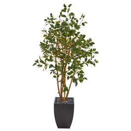 BreeBe - 58" Ficus Artificial Tree in Black Planter - Green
