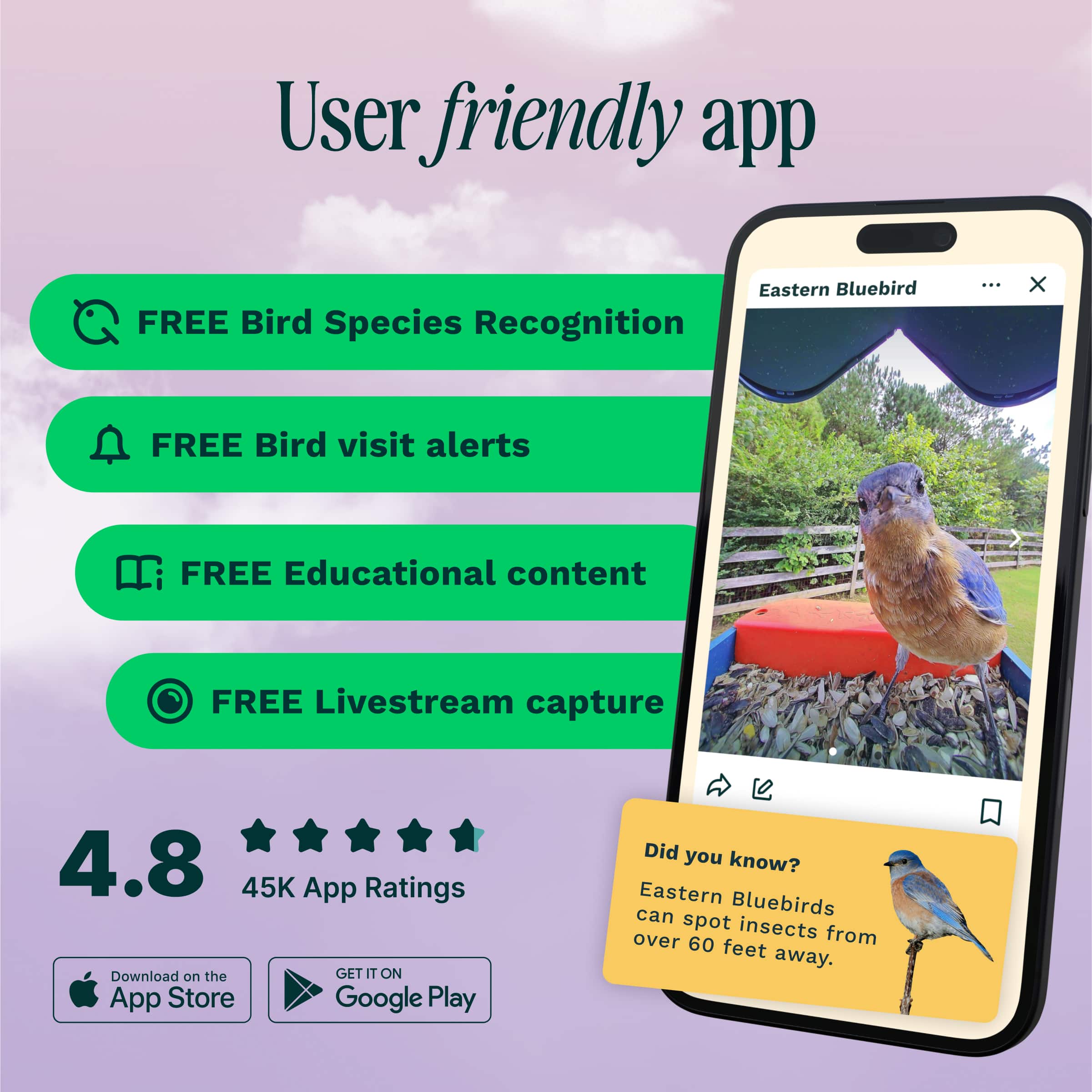 User friendly app Eastern Bluebird FREE Bird Species Recognition ... x FREE Bird visit alerts FREE Educational content FREE Livestream capture 4.8 45K App Ratings Download on the GET IT ON App Store Google Play Did you know? Eastern Bluebirds can spot insects from over 60 feet away.