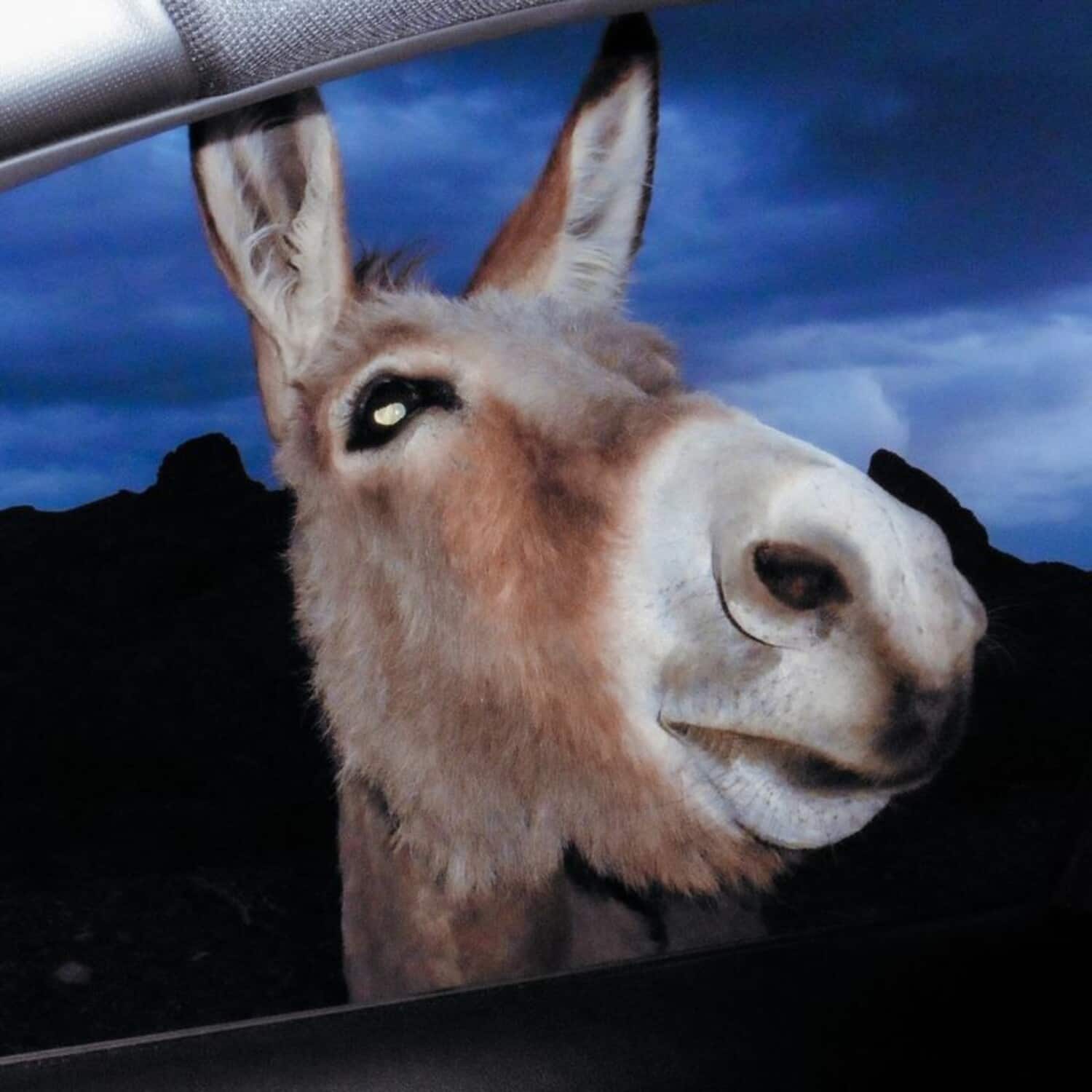 Superworld - Super World   - VINYL LP