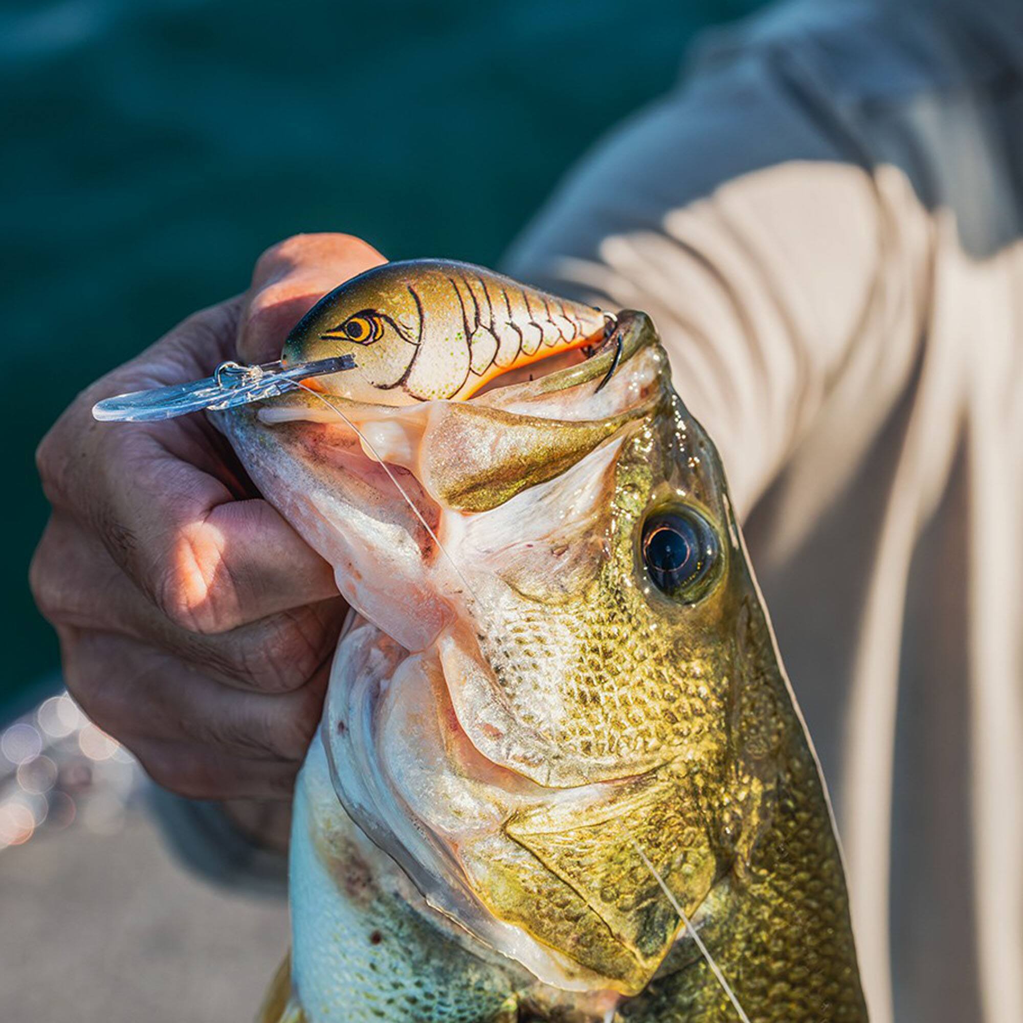 Alt View 1. Rapala - Rapala Dives-To 08, Lemon Shad - Lemon Shad.