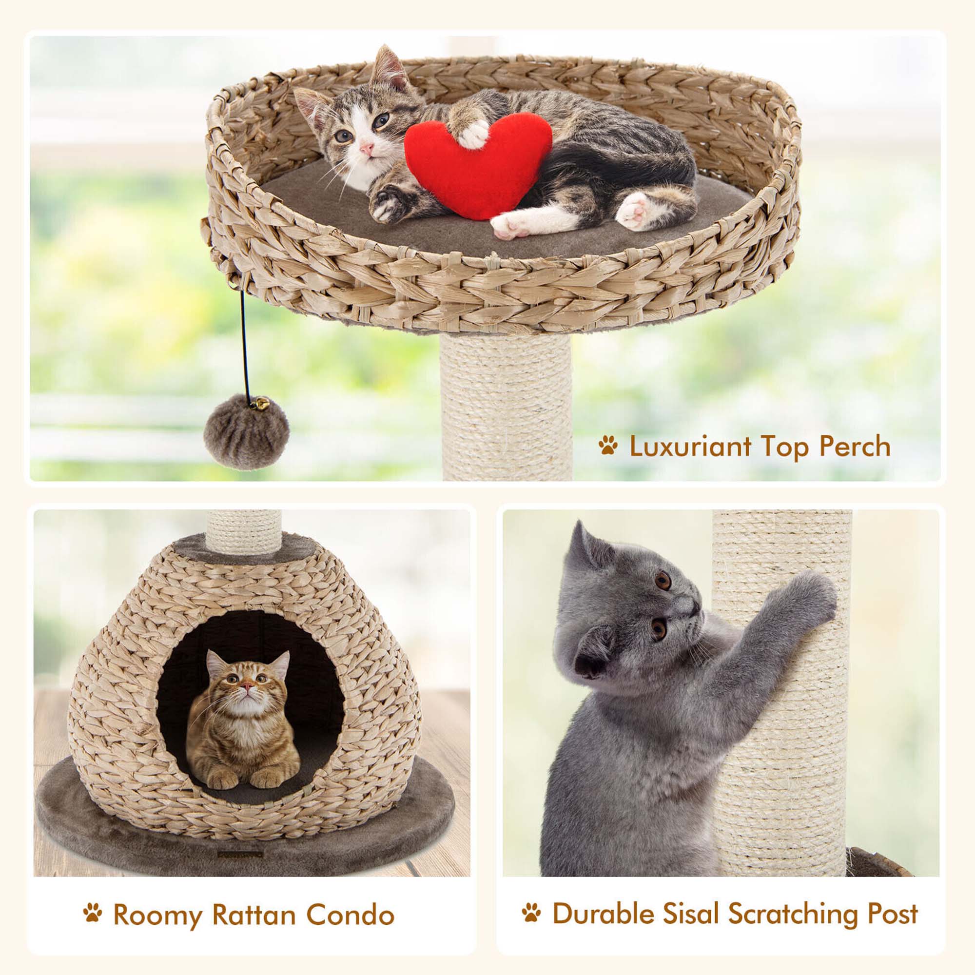 Luxuriant Top Perch
Roomy Rattan Condo
Durable Sisal Scratching Post