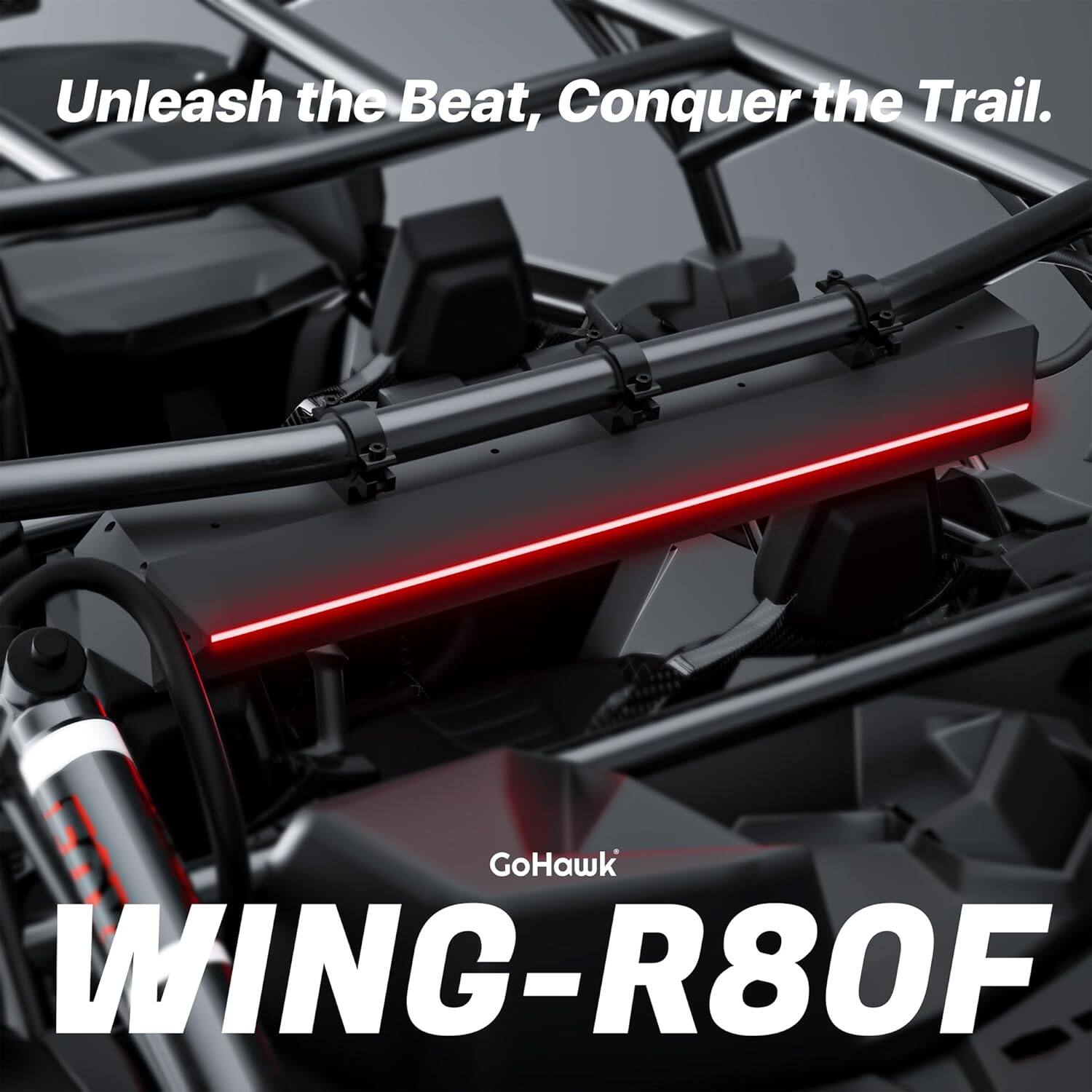 Unleash the Beat, Conquer the Trail.  
GoHawk WING-R80F
