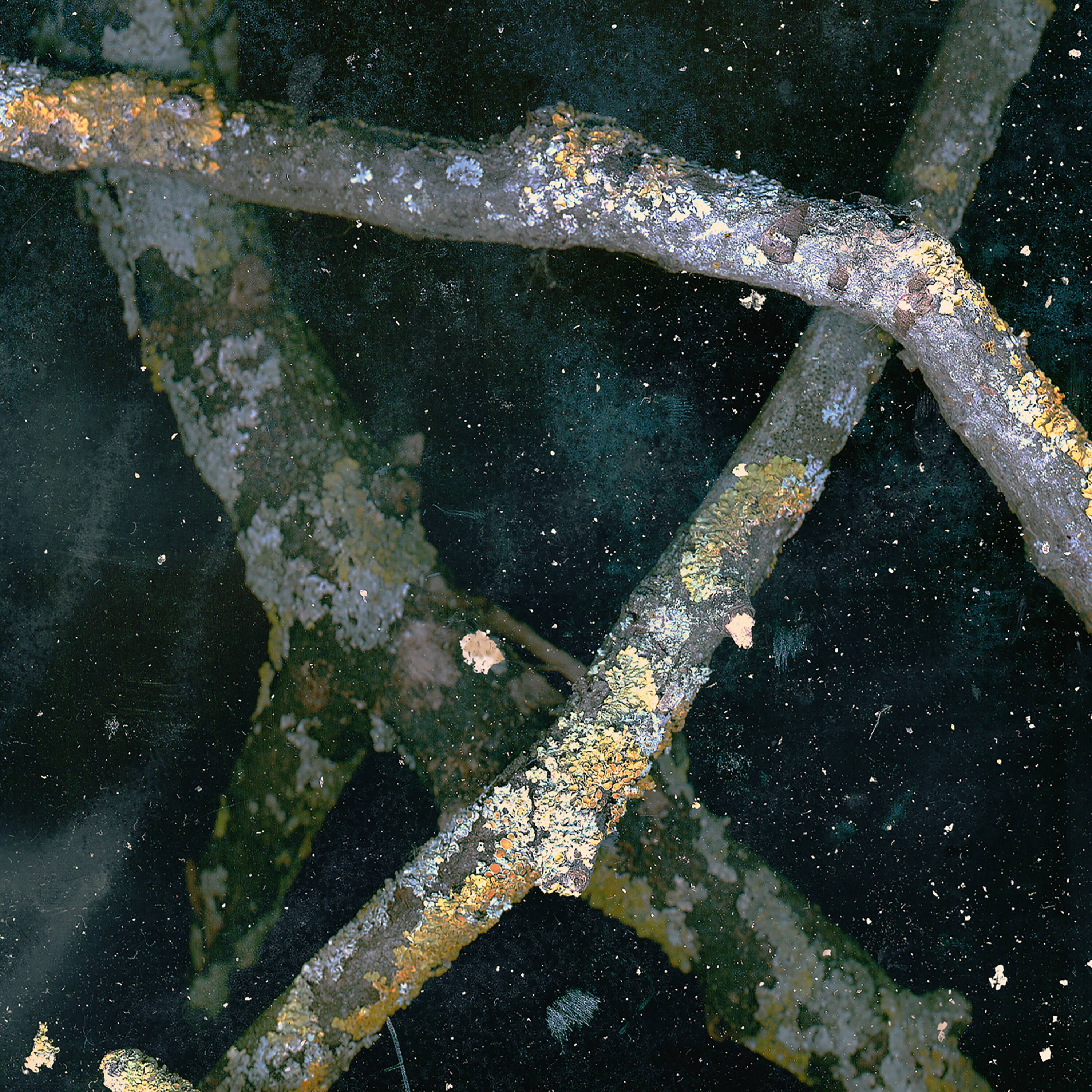 Front. Saaadon [LP].