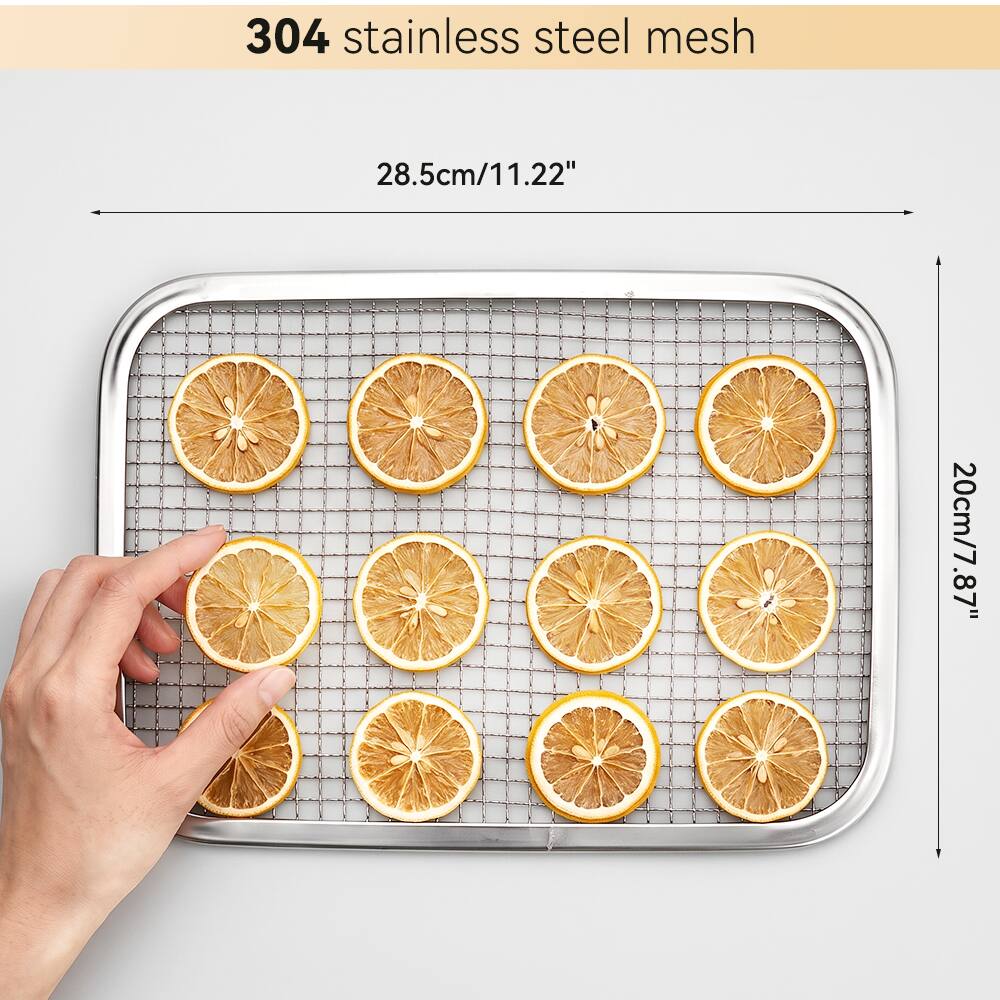 304 stainless steel mesh

28.5cm/11.22"

20cm/7.87"