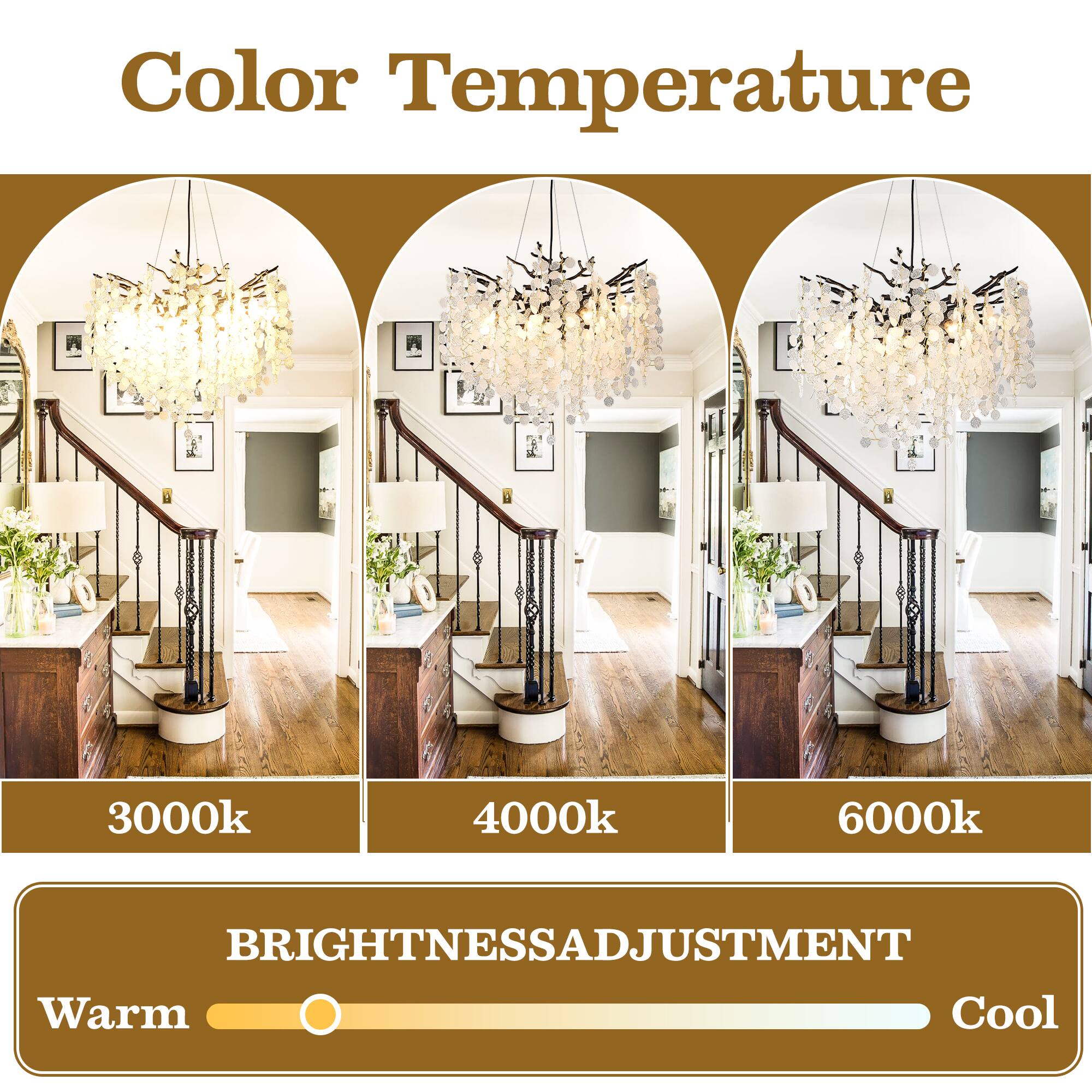 Color Temperature

3000k 4000k 6000k

BRIGHTNESS ADJUSTMENT

Warm Cool