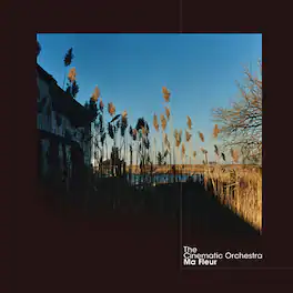 The Cinematic Orchestra - Ma Fleur - VINYL LP