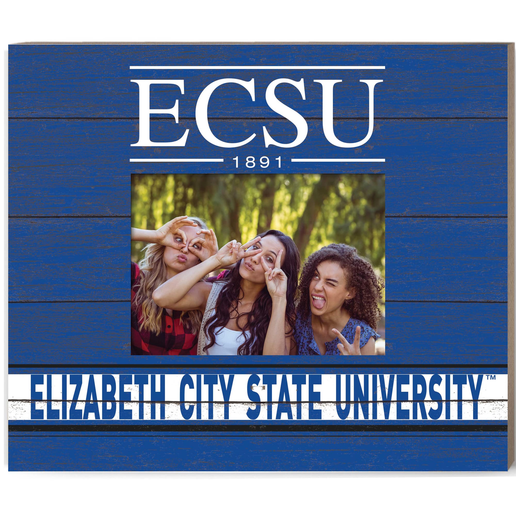 Jardine - ECSU Vikings 11'' x 13'' Team Spirit Scholastic Picture Frame - Blue price history on PriceWatchPro