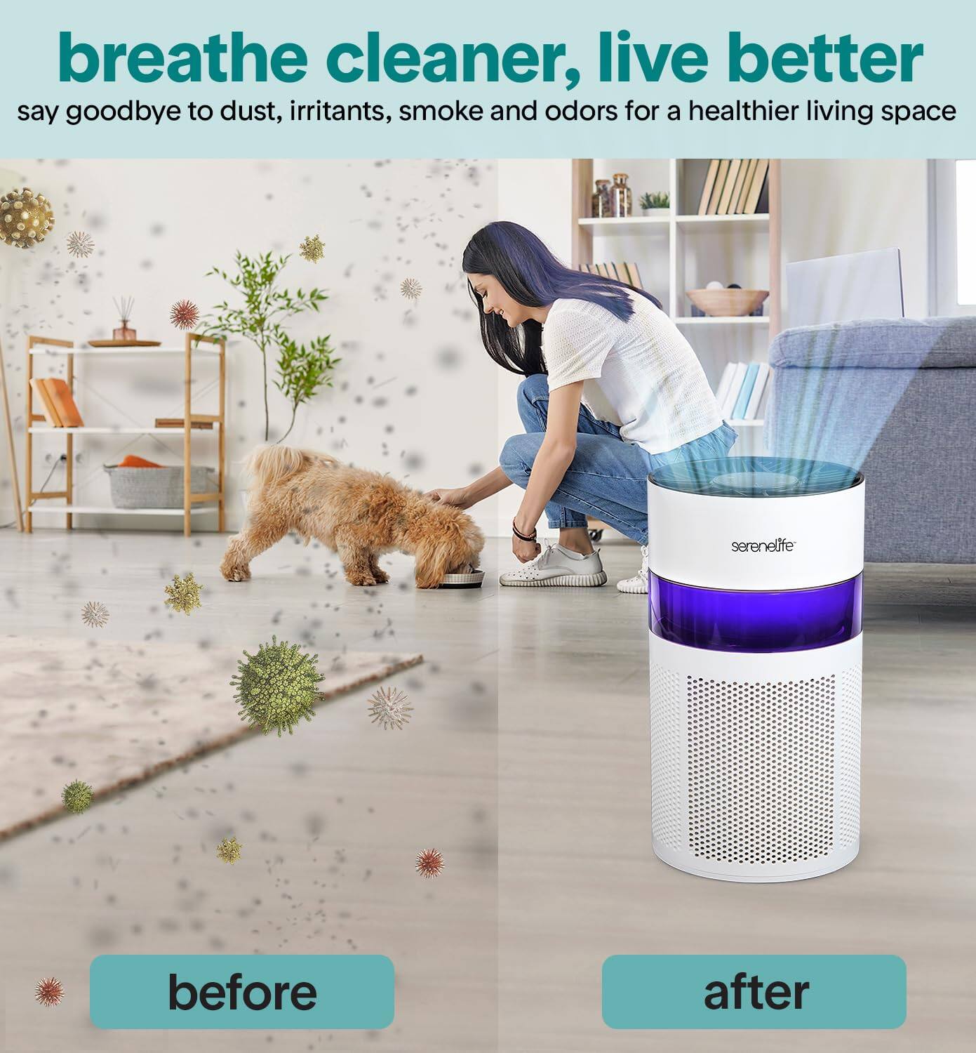breathe cleaner, live better  
say goodbye to dust, irritants, smoke and odors for a healthier living space  

before  
after
