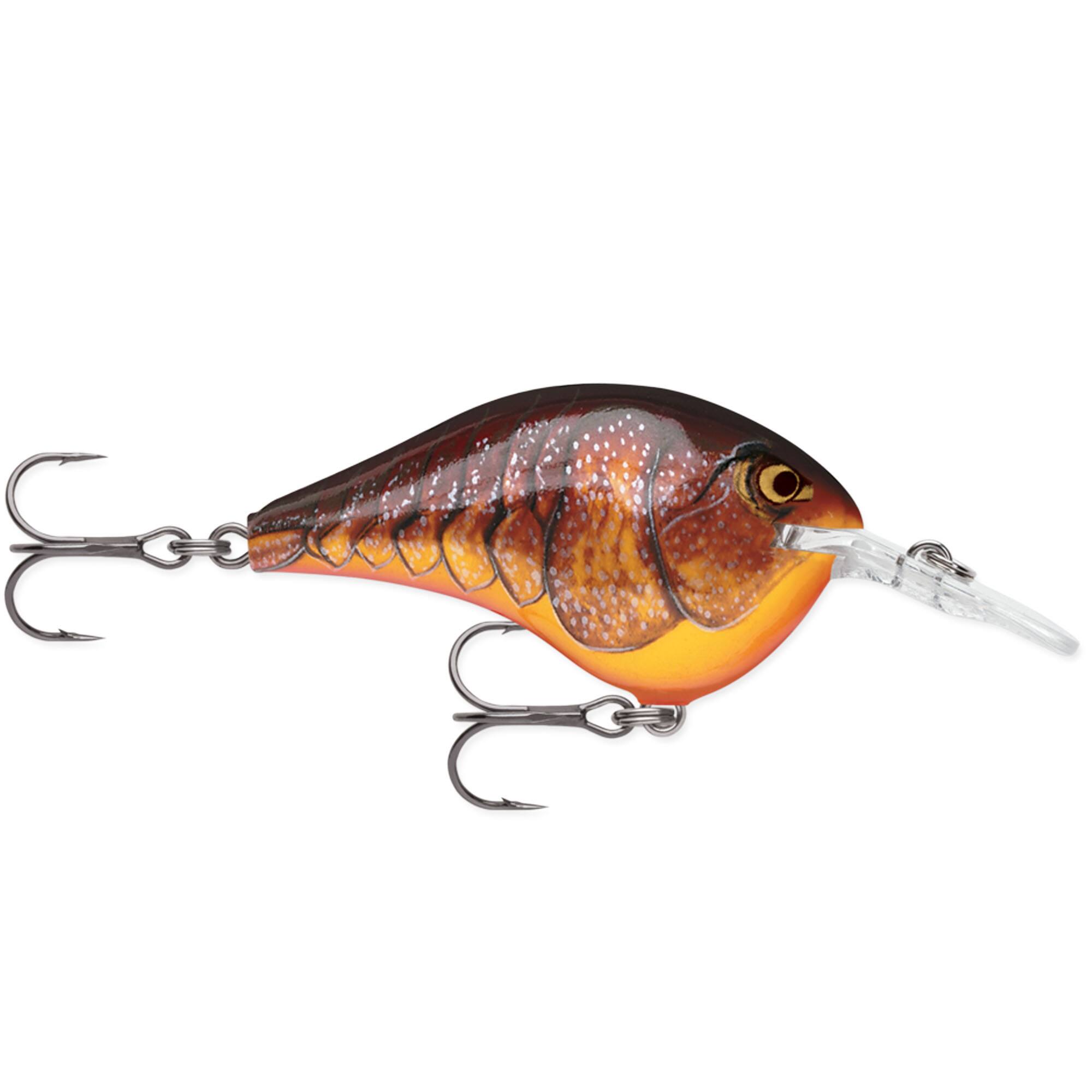 Dark Brown Crawdad