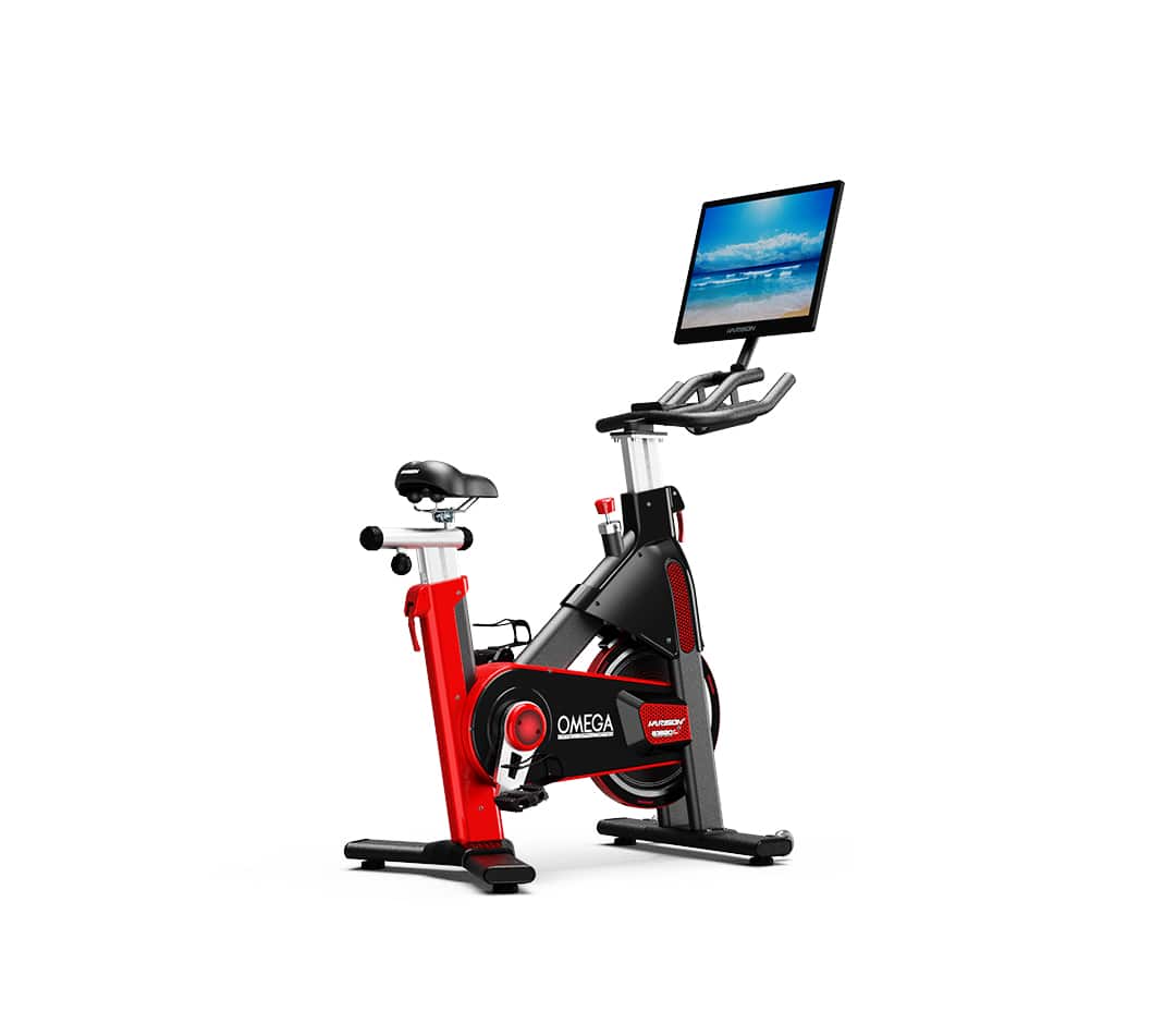 HARISON - Omega B3820 Track Eco Commercial Exercise Bike - Black price history on PriceWatchPro