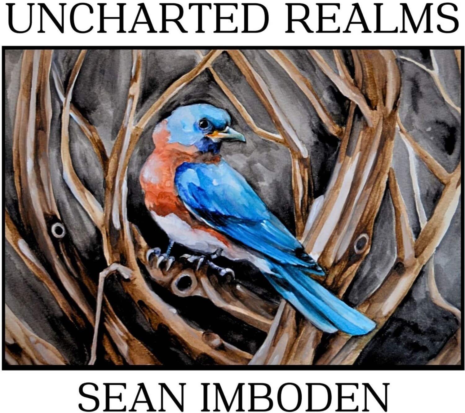 Sean Imboden - Uncharted Realms   - COMPACT DISCS [CD] price history on PriceWatchPro