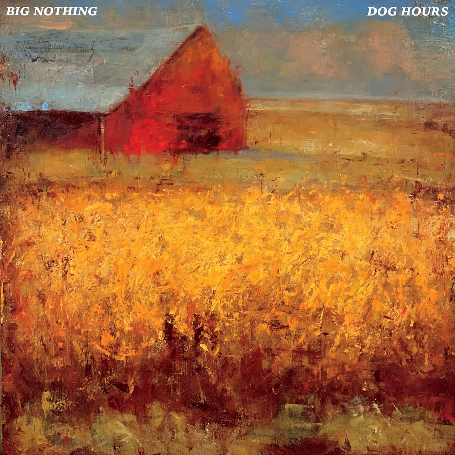 Big Nothing - Dog Hours (transparent Blue)  - VINYL LP
