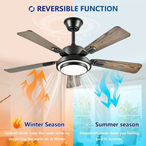 REVERSIBLE FUNCTION

Winter Season
Updraft mode keeps the room warm by circulating the warm air in Winter

Summer Season
Downdraft mode makes you feel cool in Summer