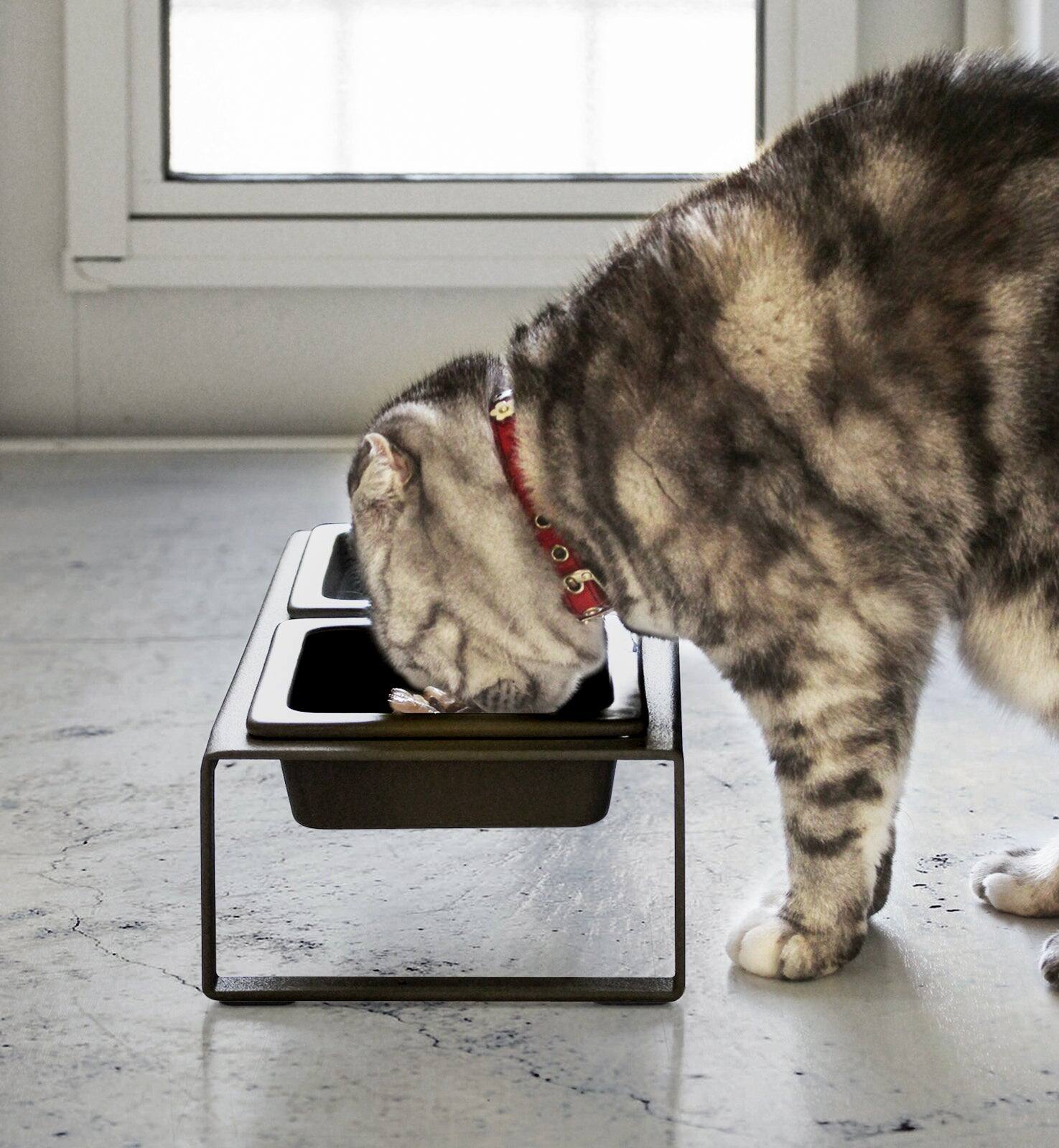 Alt View 3. Yamazaki Home - Pet Food Bowl - Tall - Steel + Ceramic - White.