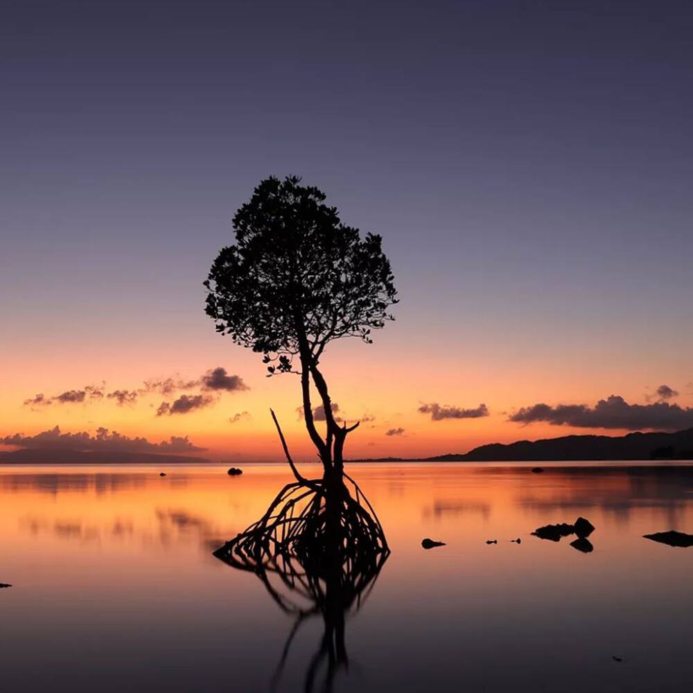 Alt View 6. Canon - EOS R50 Mirrorless Camera Black + 18-45mm IS STM Lens Kit Essential Bundle.