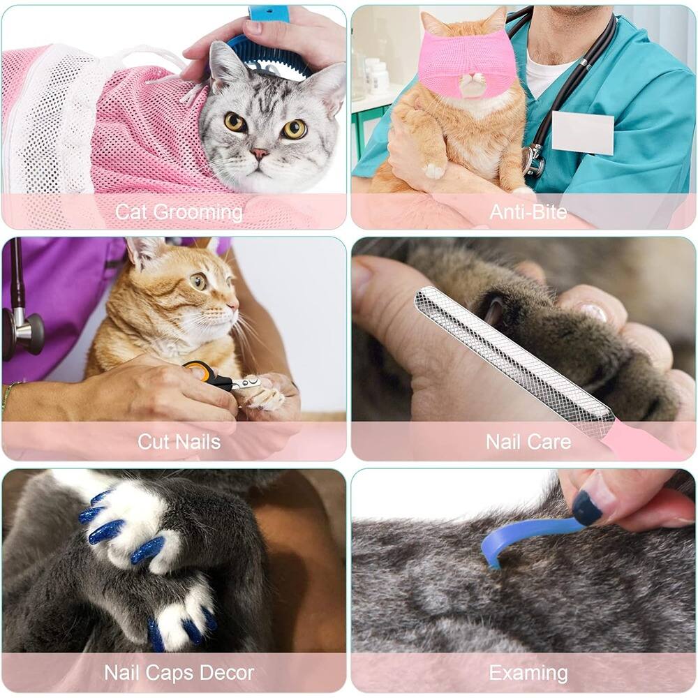 - Cat Grooming
- Anti-Bite
- Cut Nails
- Nail Care
- Nail Caps Decor
- Examining
