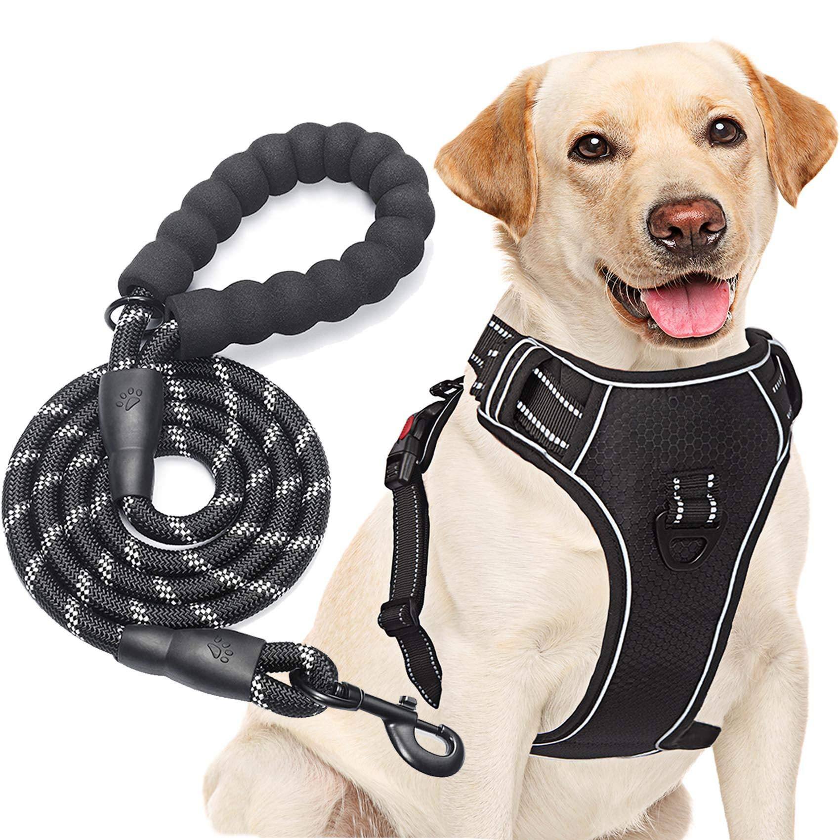 Black Harness+Leash-Small