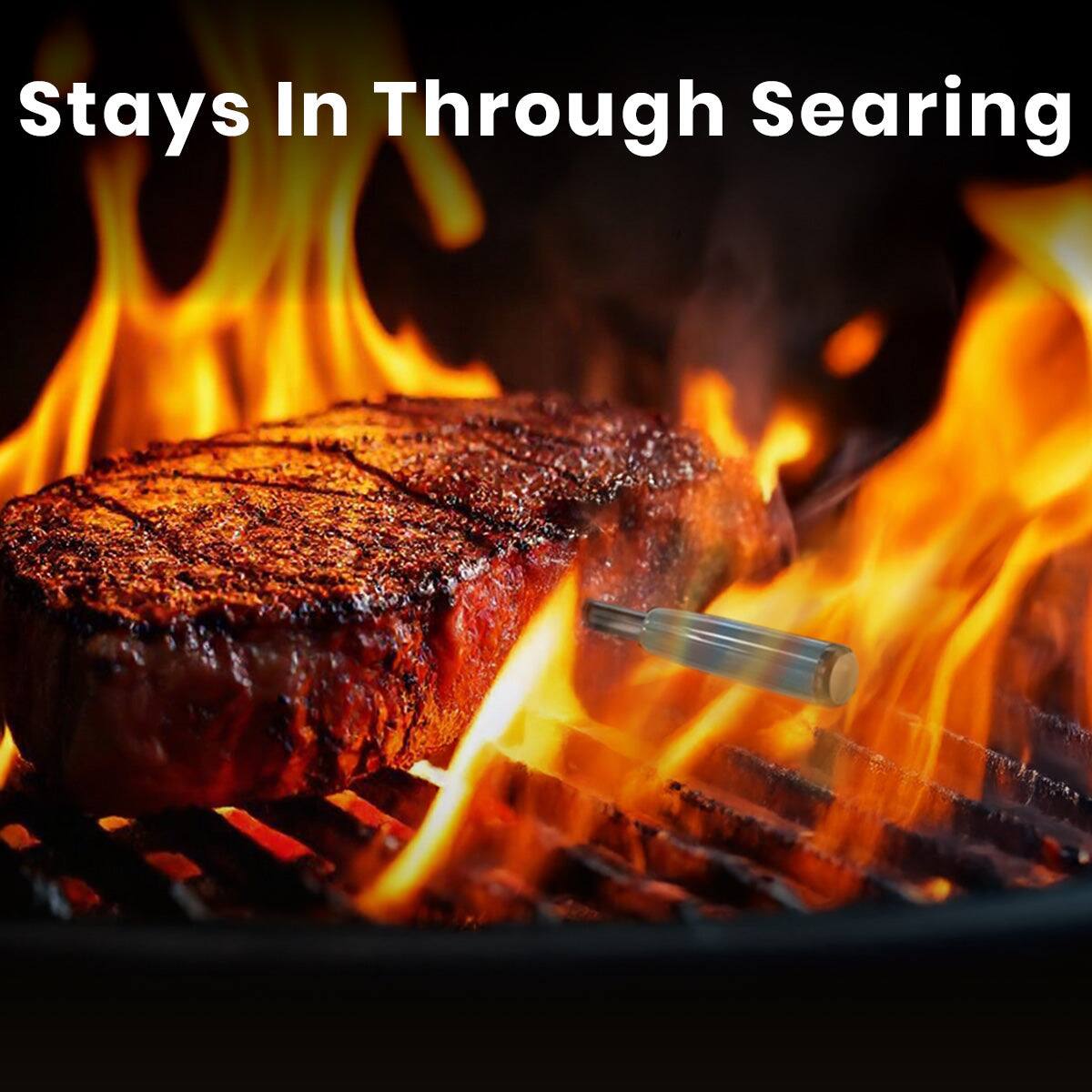 Stays In Through Searing