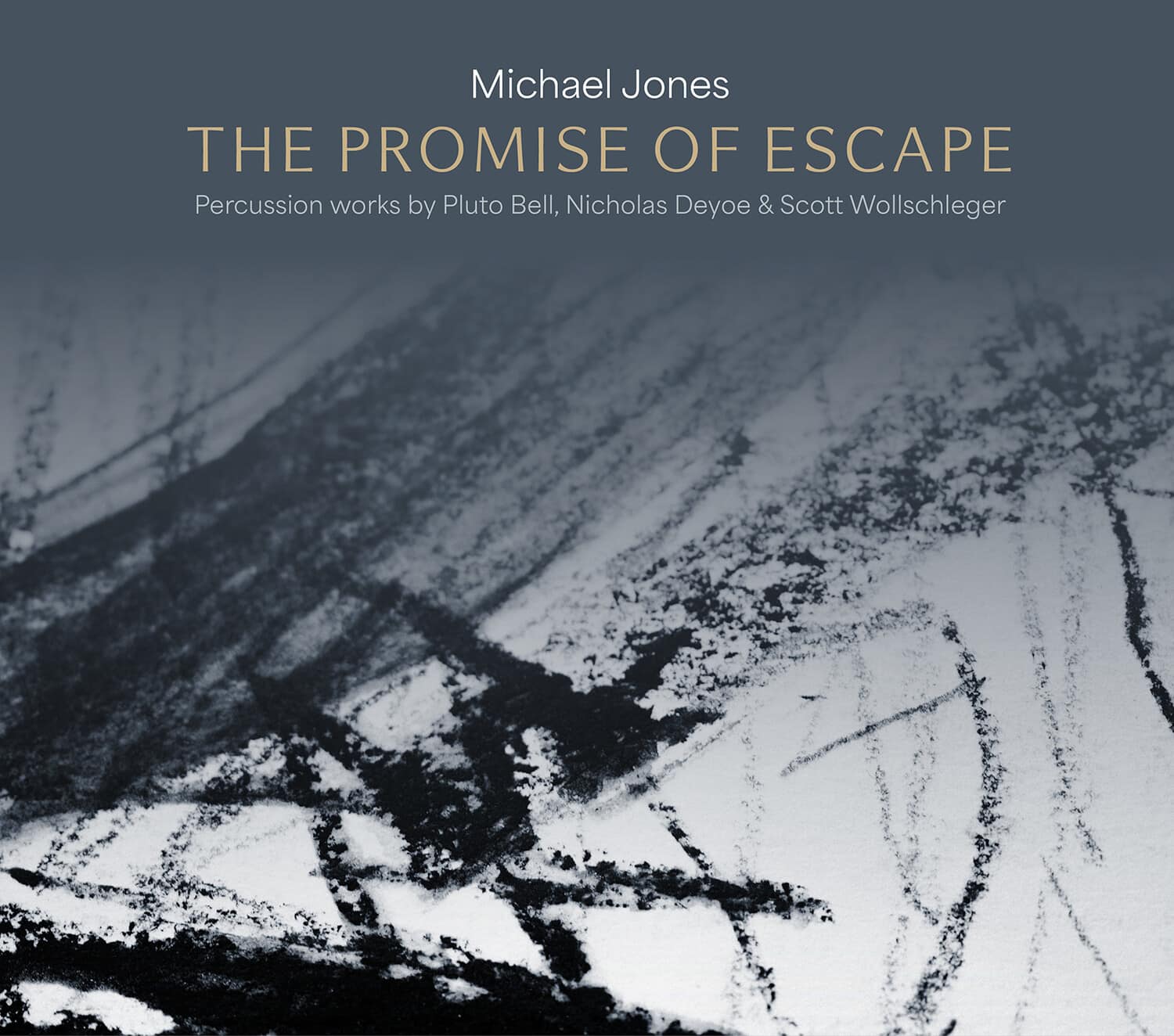 Michael Jones - The Promise of Escape   - COMPACT DISCS [CD] price history on PriceWatchPro
