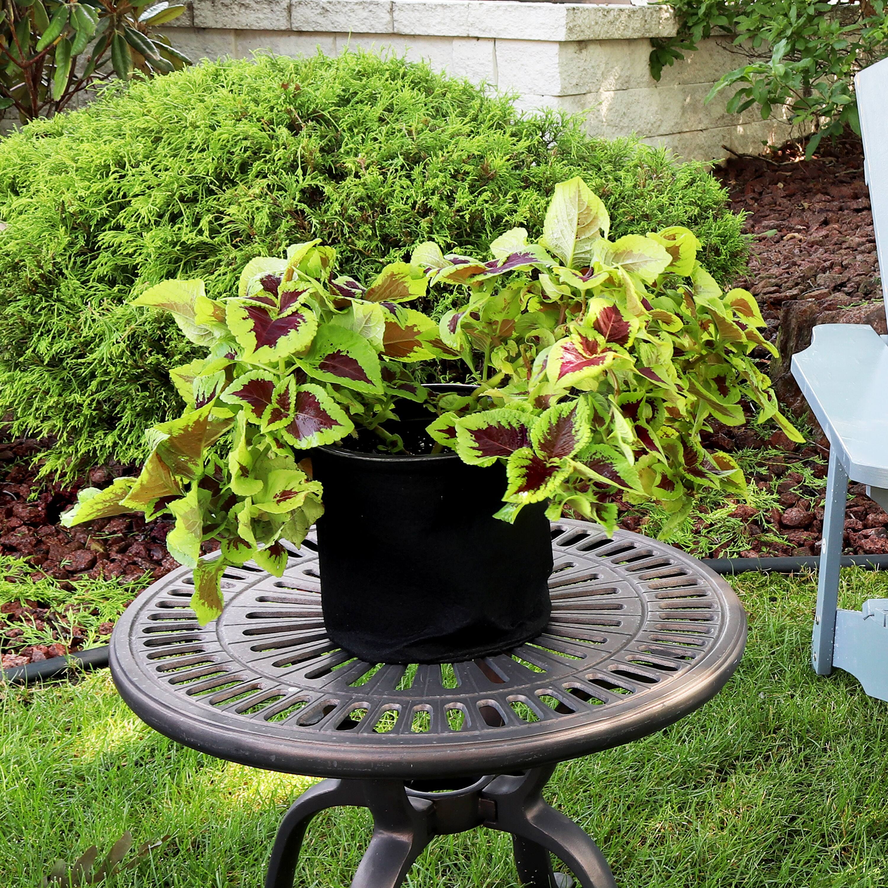 Alt View 3. Sunnydaze - Nonwoven Polypropylene Fabric Grow Bag with Handles - 3 gallon - Black.