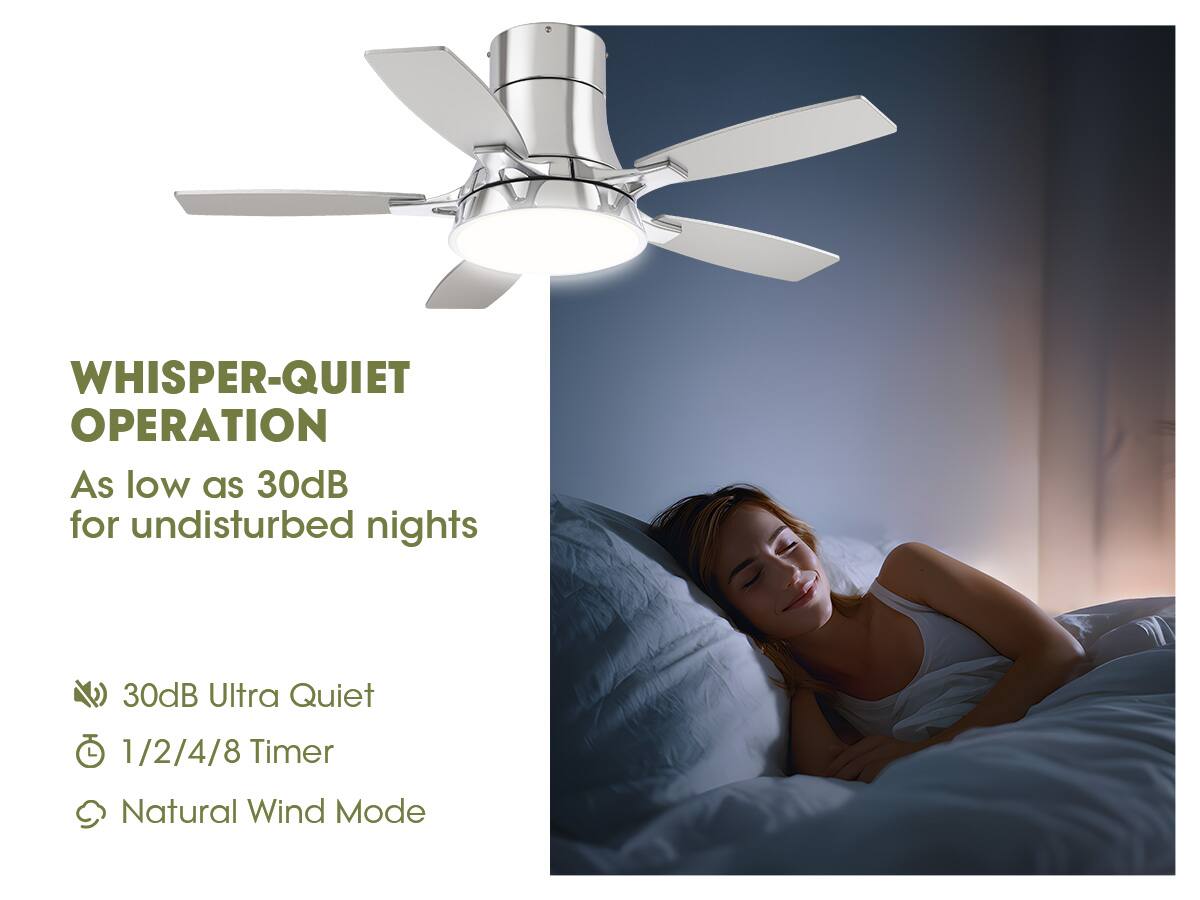 WHISPER-QUIET OPERATION

As low as 30dB for undisturbed nights

- 30dB Ultra Quiet
- 1/2/4/8 Timer
- Natural Wind Mode