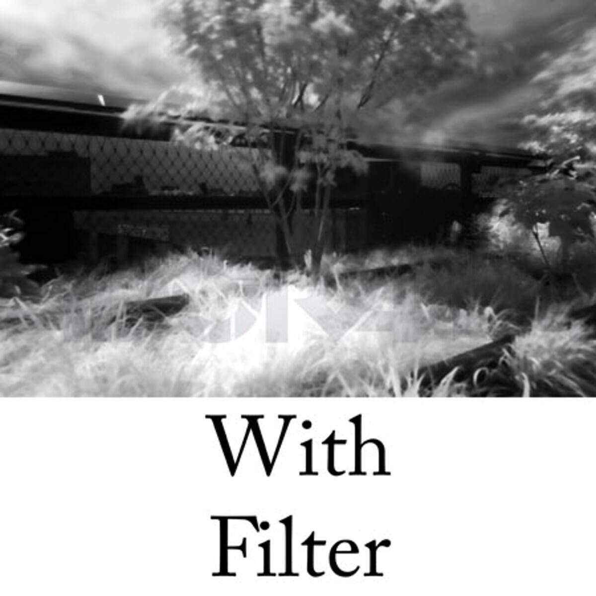 With Filter