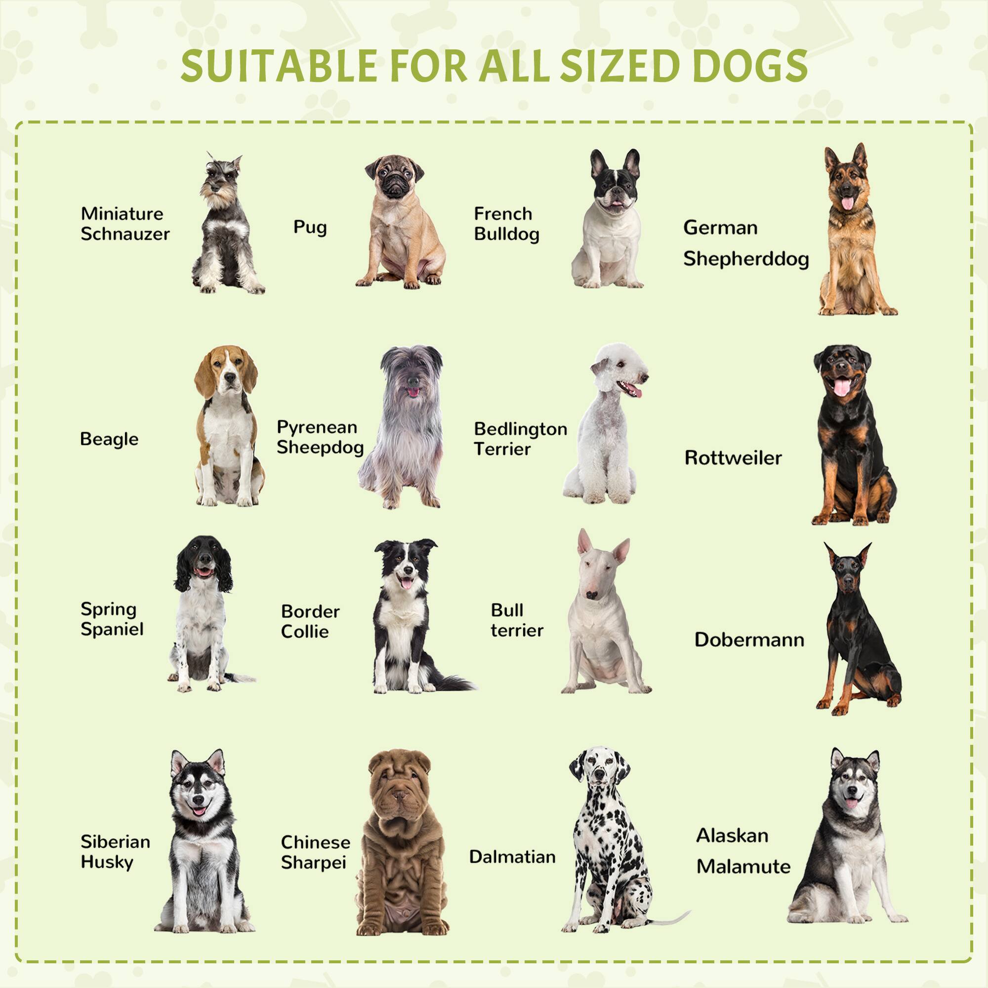 SUITABLE FOR ALL SIZED DOGS

- Miniature Schnauzer
- Pug
- French Bulldog
- German Shepherddog
- Beagle
- Pyrenean Sheepdog
- Bedlington Terrier
- Rottweiler
- Spring Spaniel
- Border Collie
- Bull Terrier
- Doberman
- Siberian Husky
- Chinese Sharpei
- Dalmatian
- Alaskan Malamute