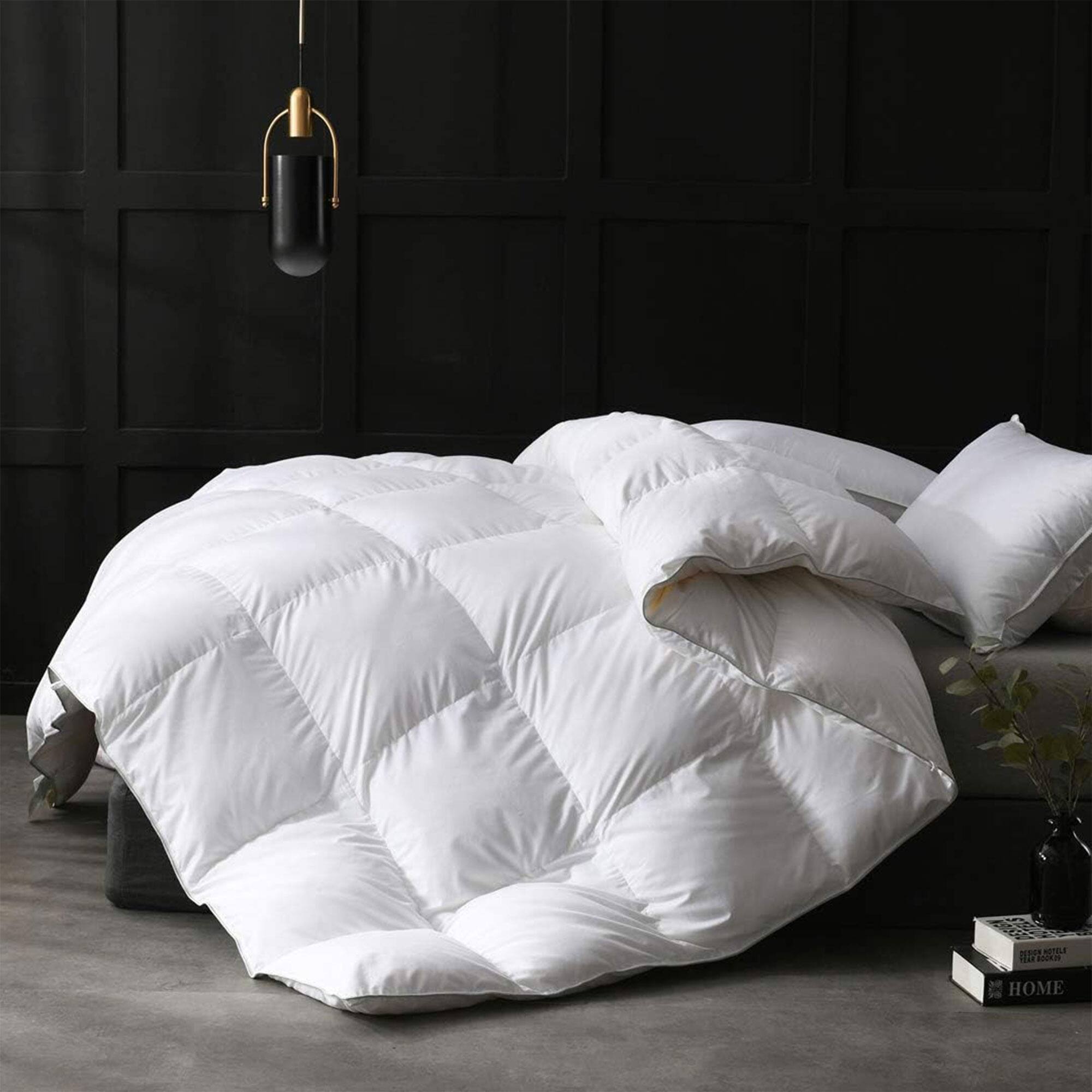Front. APSMILE - APSMILE Queen Size Heavyweight Feathers Down Poly Cotton Duvet Comforter, White - White.