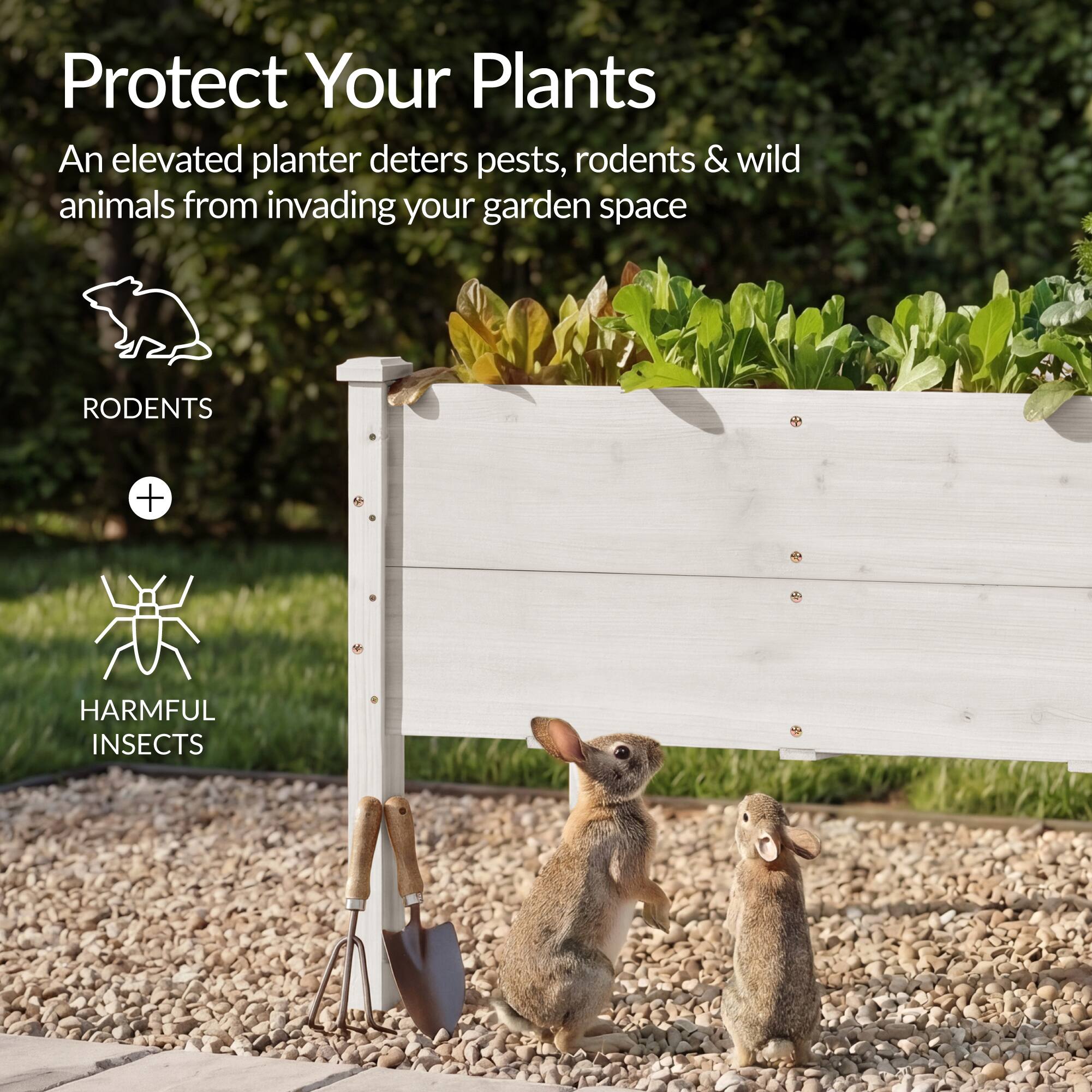 Protect Your Plants

An elevated planter deters pests, rodents & wild animals from invading your garden space

RODENTS + HARMFUL INSECTS