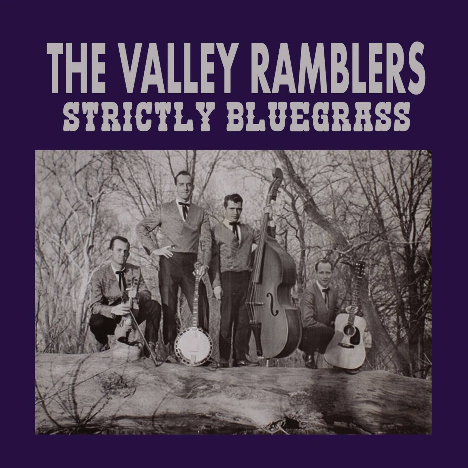 Valley Ramblers - Strictly Bluegrass   - COMPACT DISCS [CD] price history on PriceWatchPro