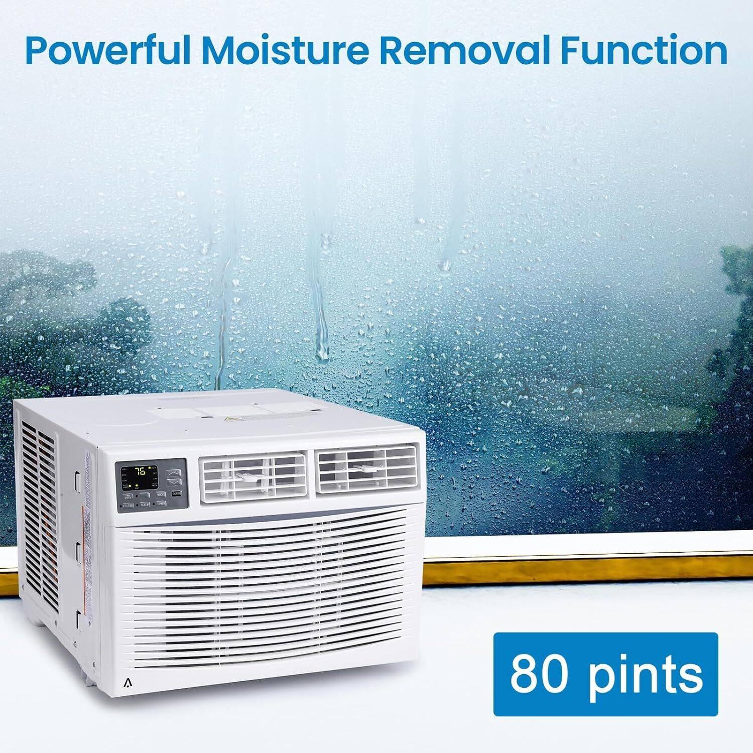 Powerful Moisture Removal Function  
80 pints