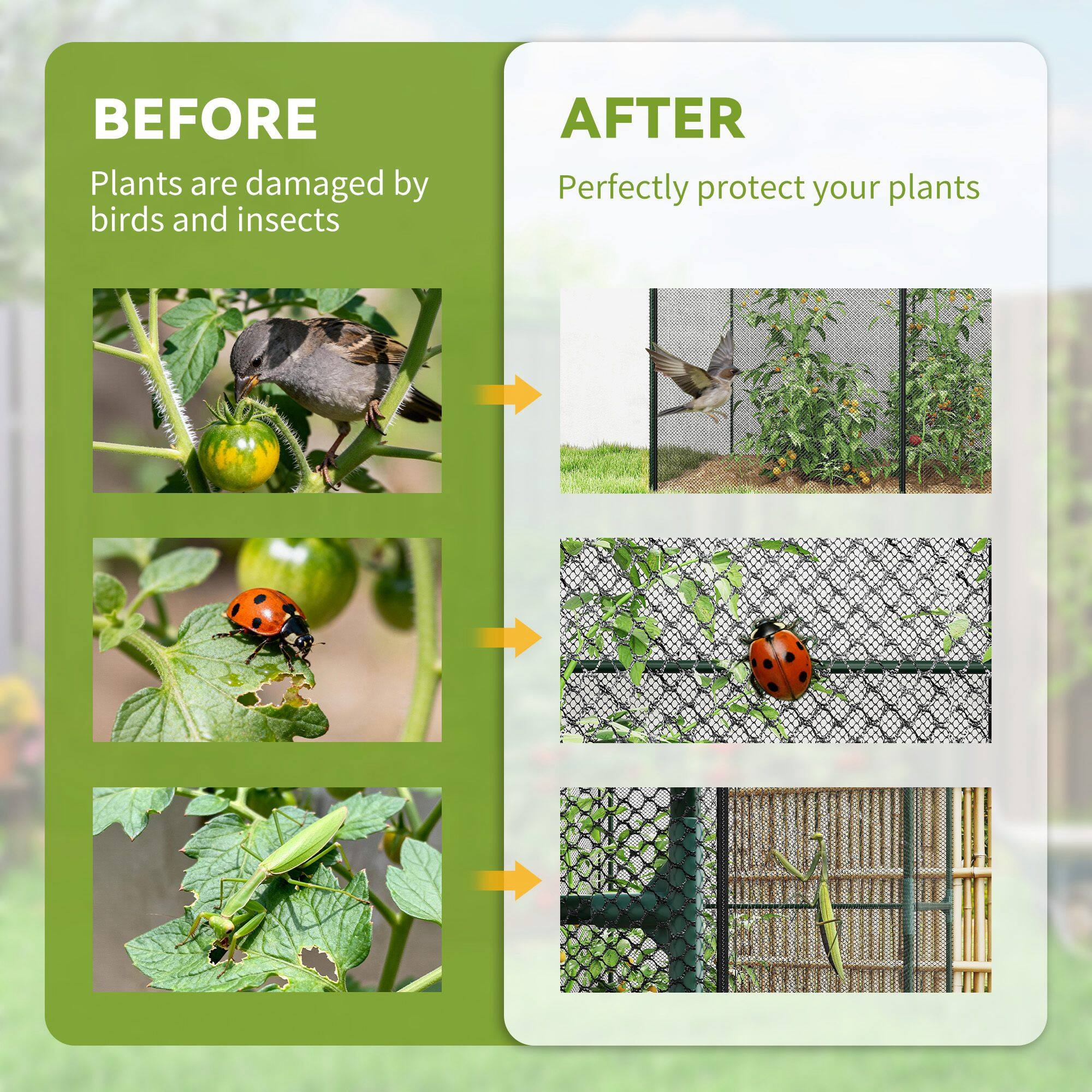 BEFORE  
Plants are damaged by birds and insects  

AFTER  
Perfectly protect your plants