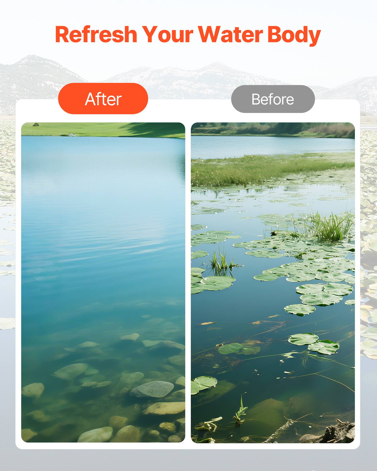 Refresh Your Water Body

After

Before