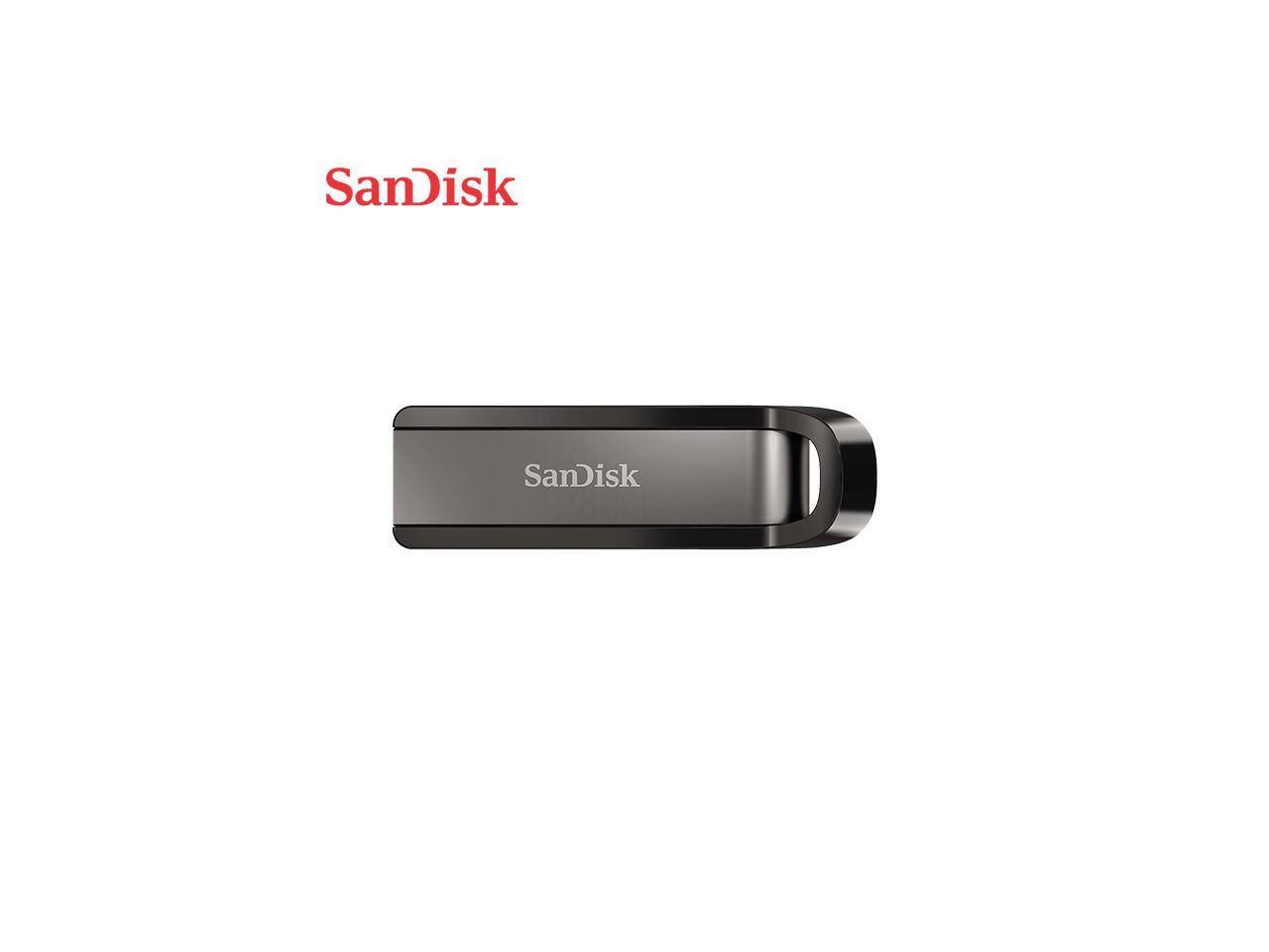 SanDisk  
SanDisk