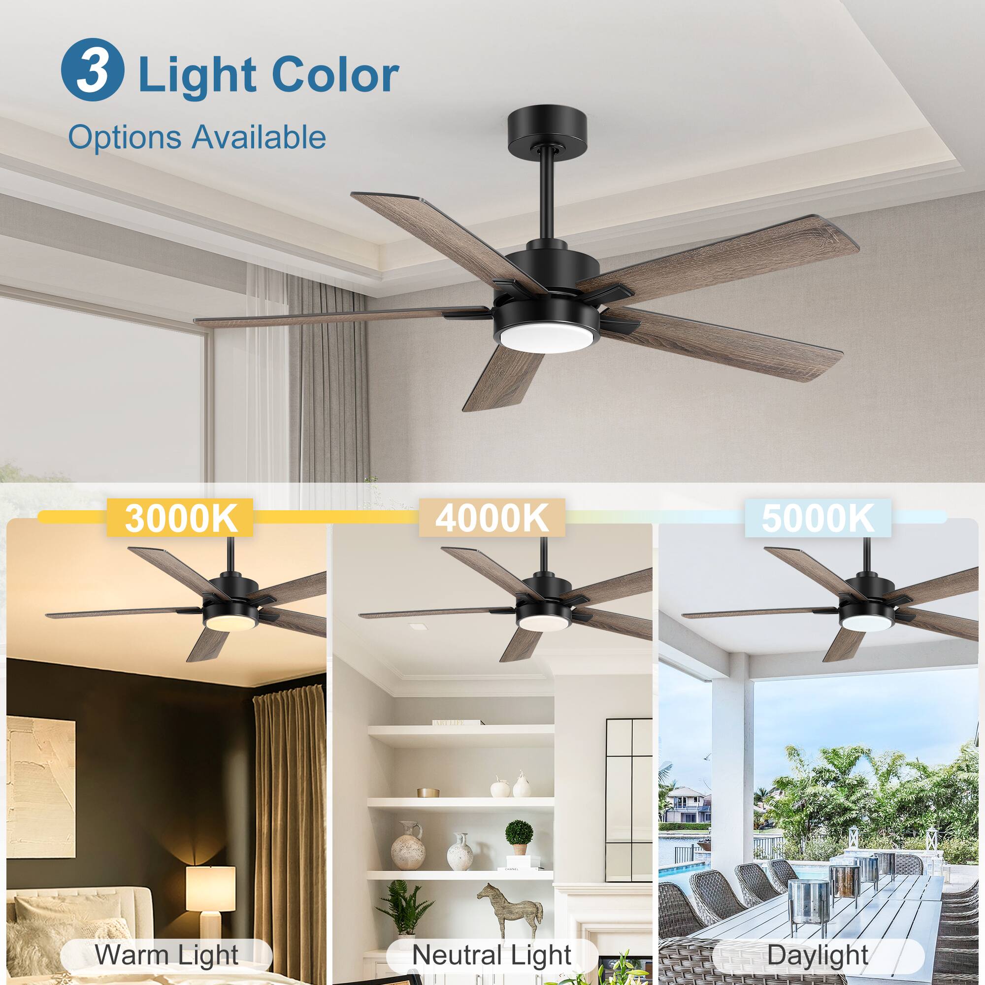3 Light Color Options Available

3000K Warm Light  
4000K Neutral Light  
5000K Daylight