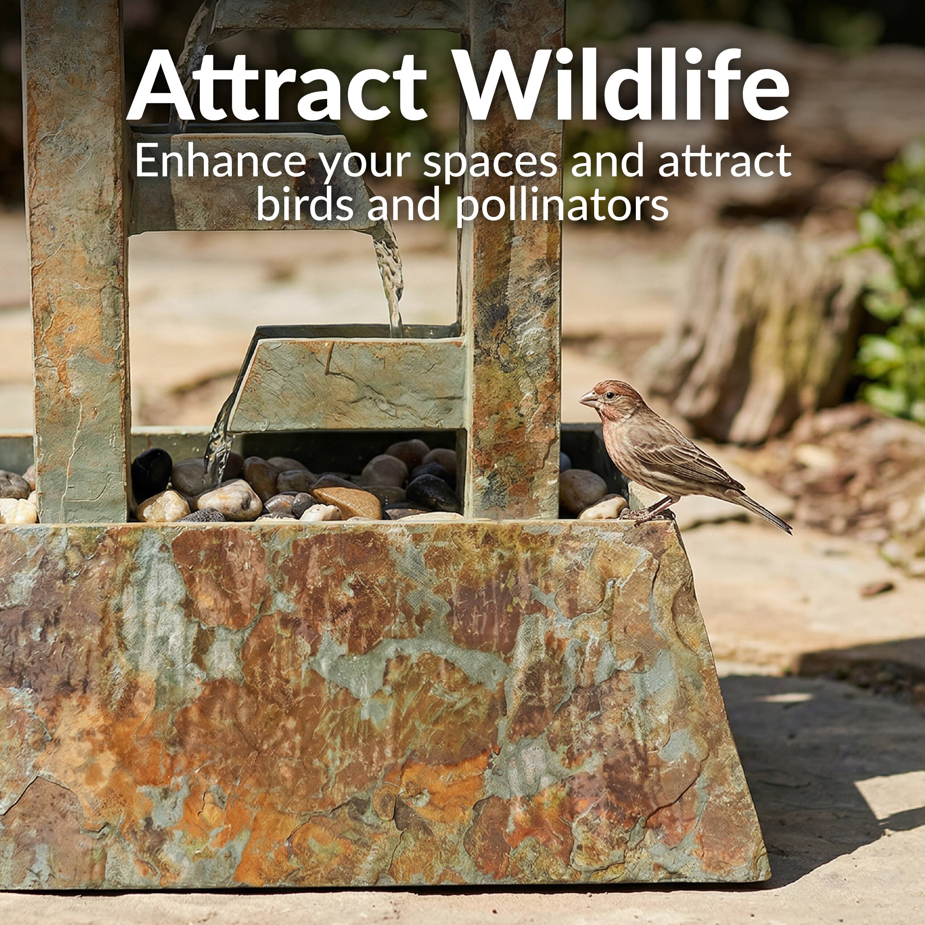 Attract Wildlife  
Enhance your spaces and attract birds and pollinators