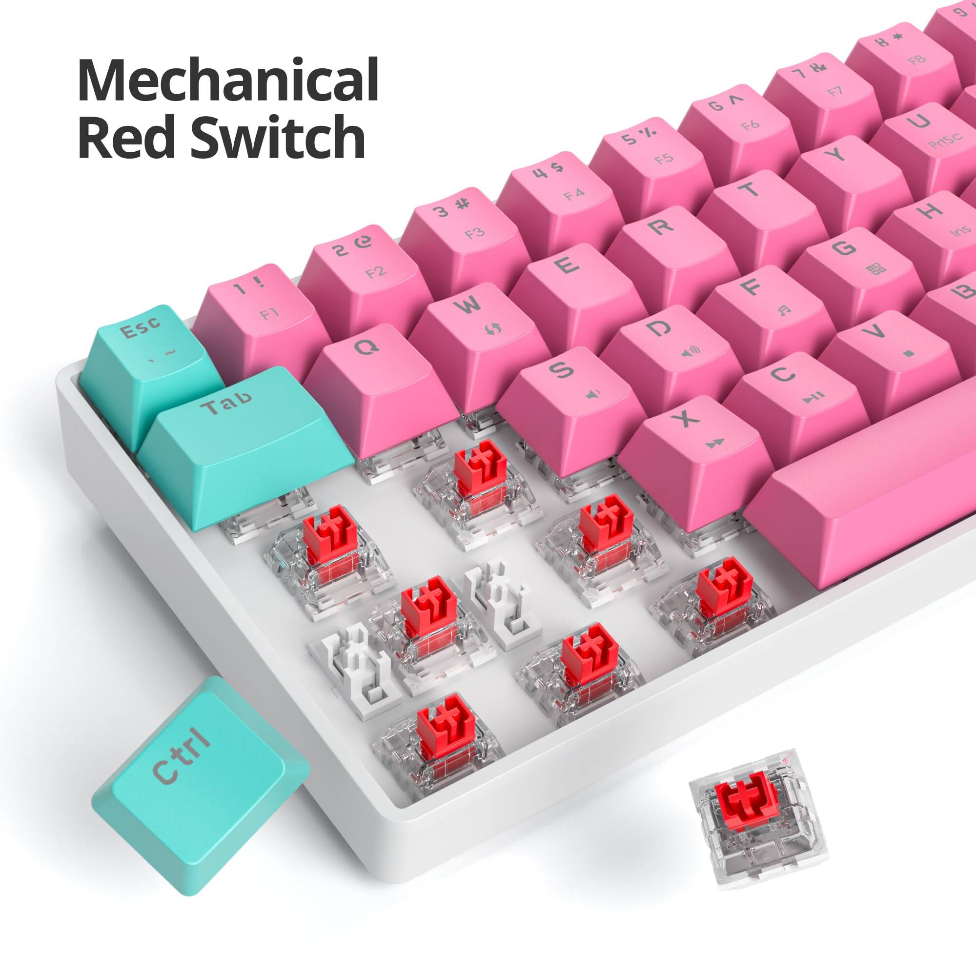 Mechanical Red Switch

Esc 1! F1 2! F2 3! F3 4$ F4 5% F5 6^ F6 7& F7 8* F8 9( 0) - _ = + Q W E R T Y U I O P [ ] \ A S D F G H J K L ; ' Enter Tab Q W E R T Y U I O P [ ] \ A S D F G H J K L ; ' Ctrl