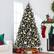 Alt View 3. Best Choice Products - Best Choice Products Artificial Frosted Christmas Tree, 6ft Premium Pre-Lit Spruce Design, Dense Branches Black Spruce - Black Spruce - Frosted.